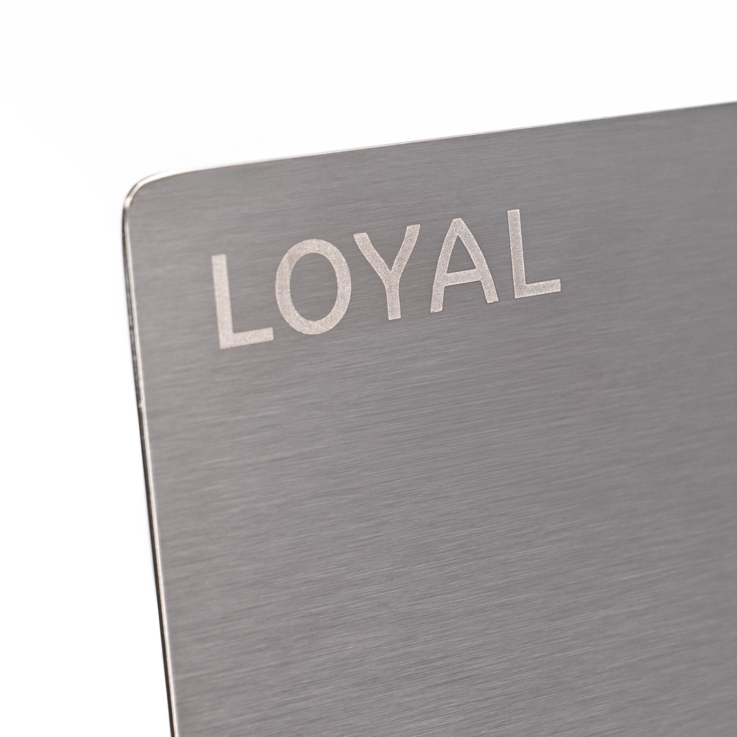 LOYAL Elite Stainless Steel Chopping Board Large 24 x 19.5 Inch