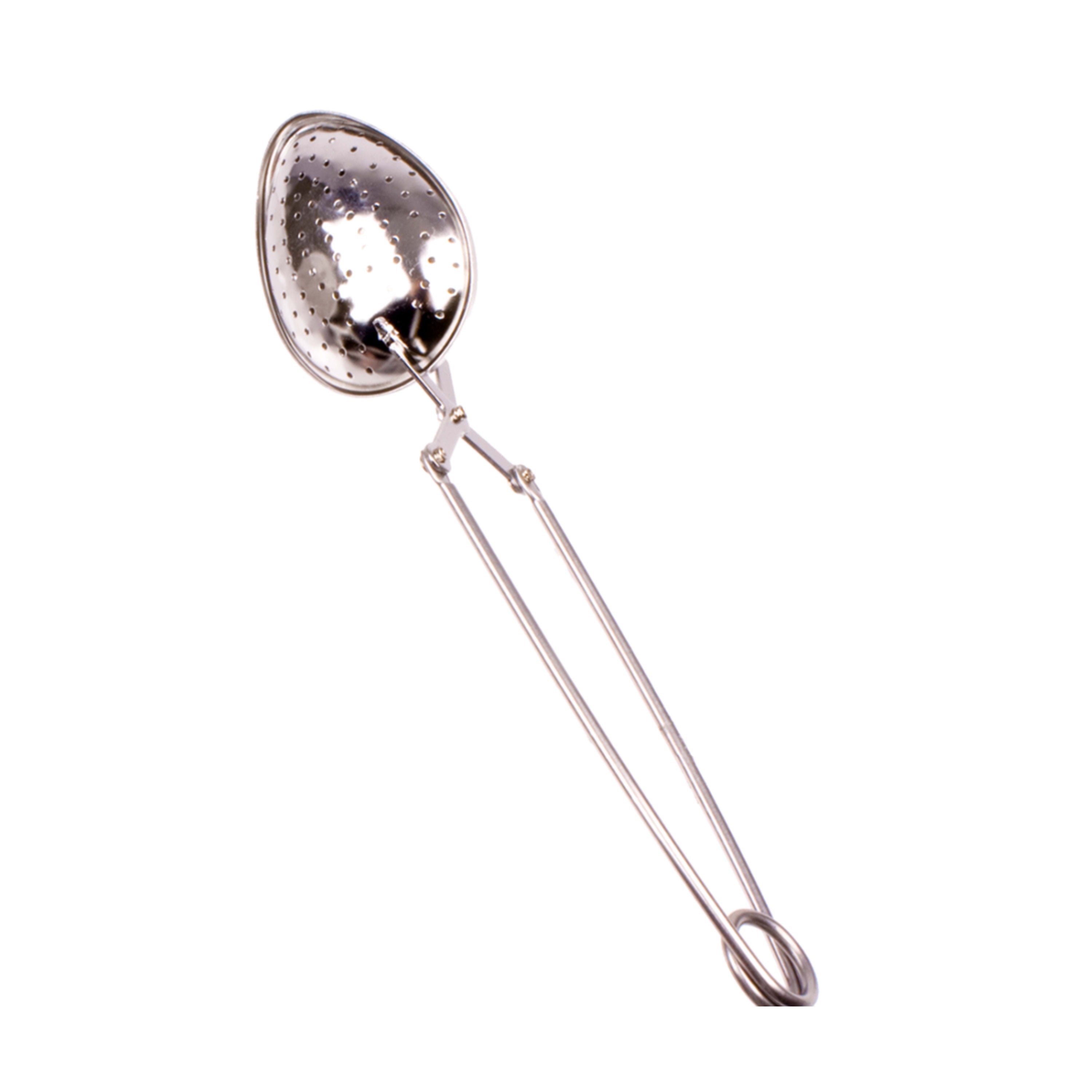 Teaology Tea Infuser - Spring