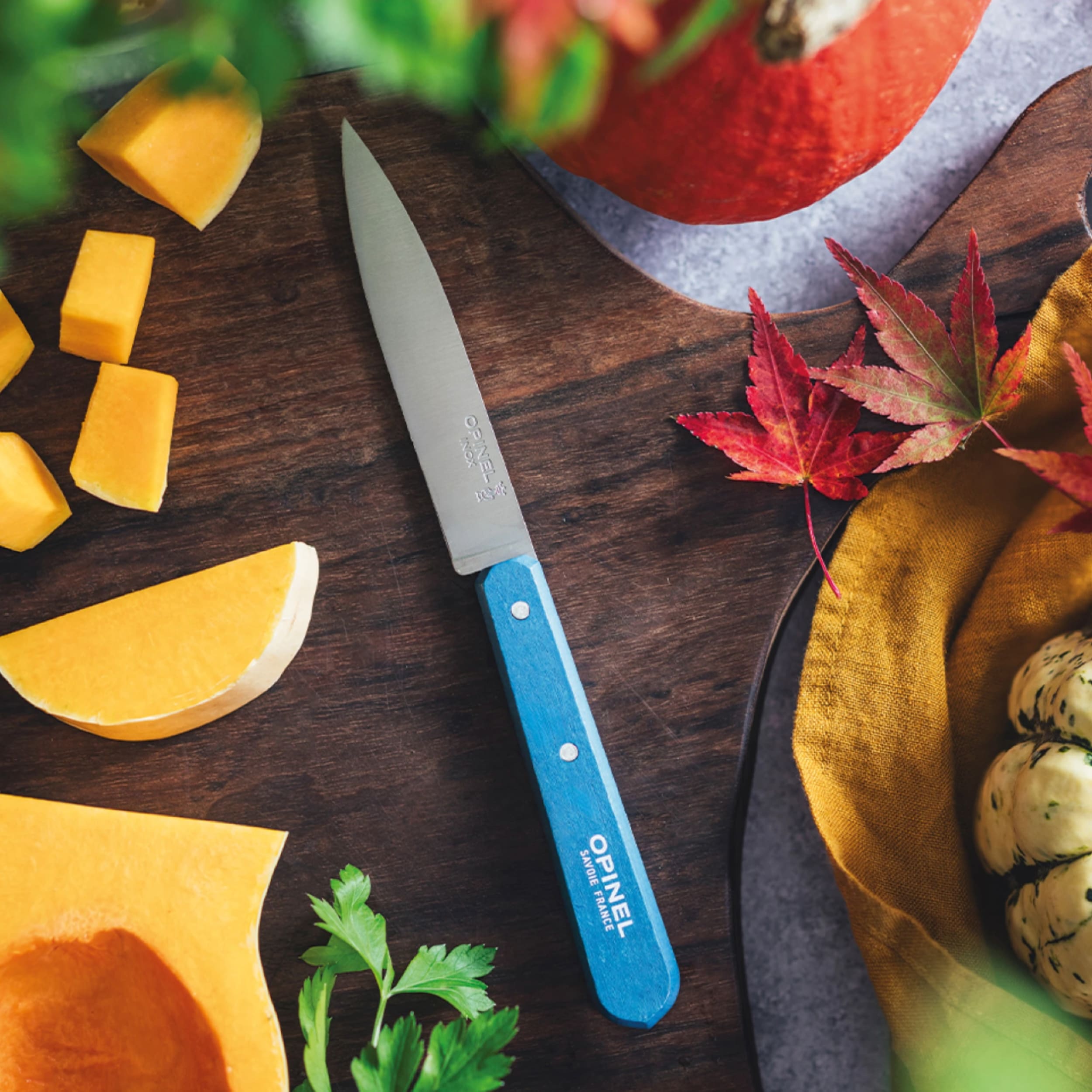 Opinel Les Essentiels Pop 80 Kitchen Utility 4 Piece Set