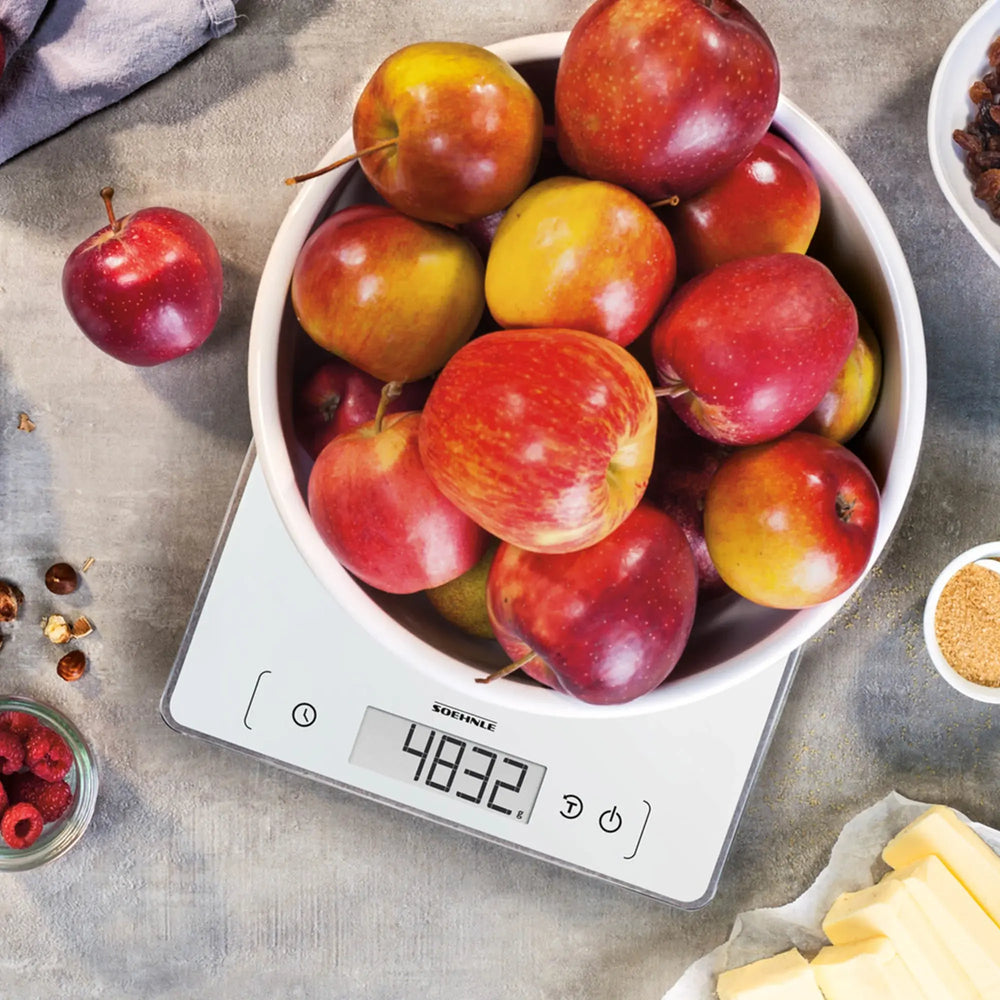 The scale that earns its place on the bench.