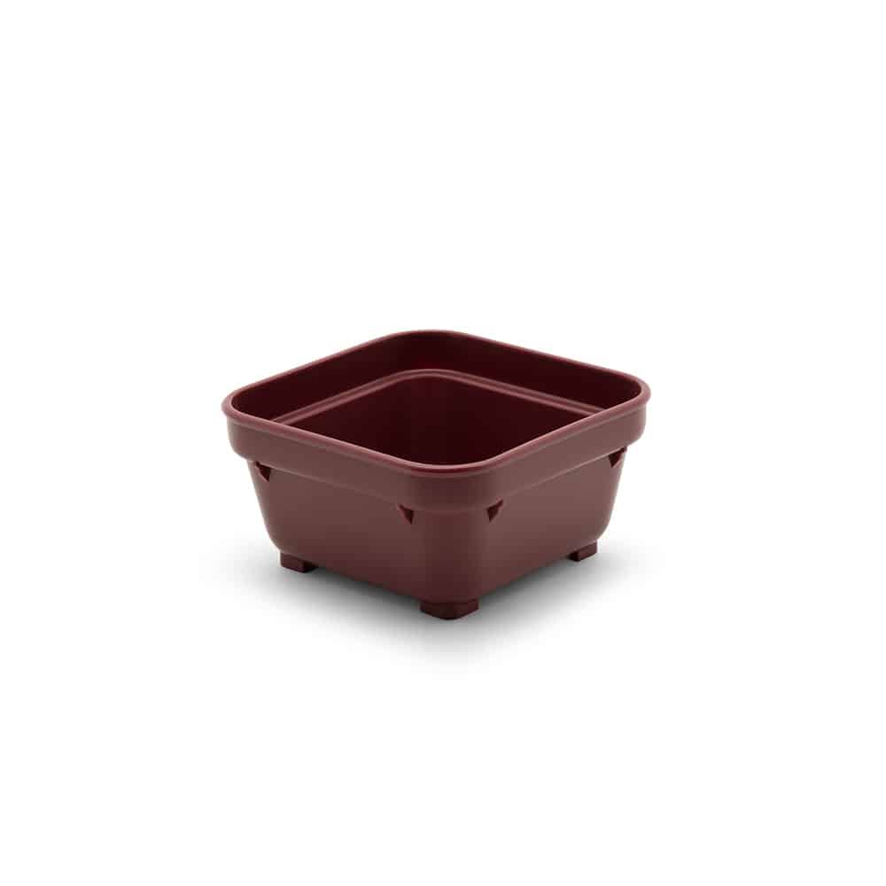 KH Healthcare Square Bowl 100mm Burgundy PP (#19)