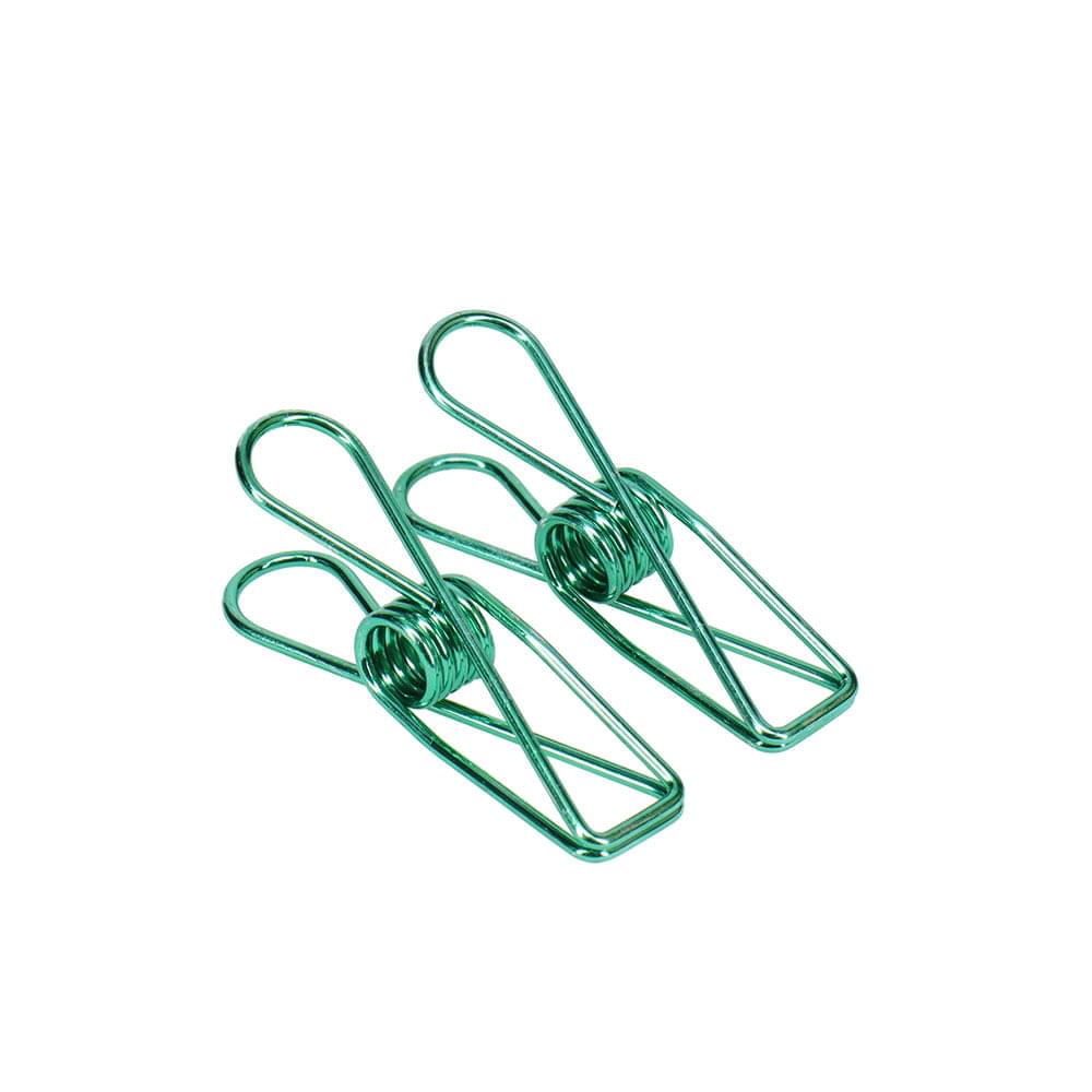 Eco Basics Stainless Steel Pegs 20 pcs