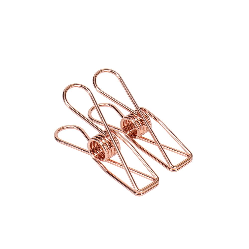 Eco Basics Stainless Steel Pegs 20 pcs