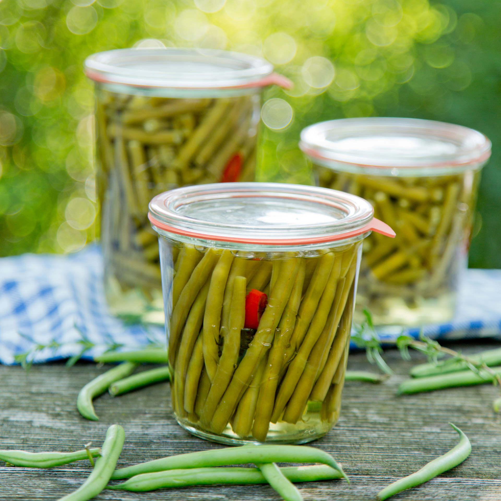Weck Glass Jar Complete Set 100x107mm (580ml)