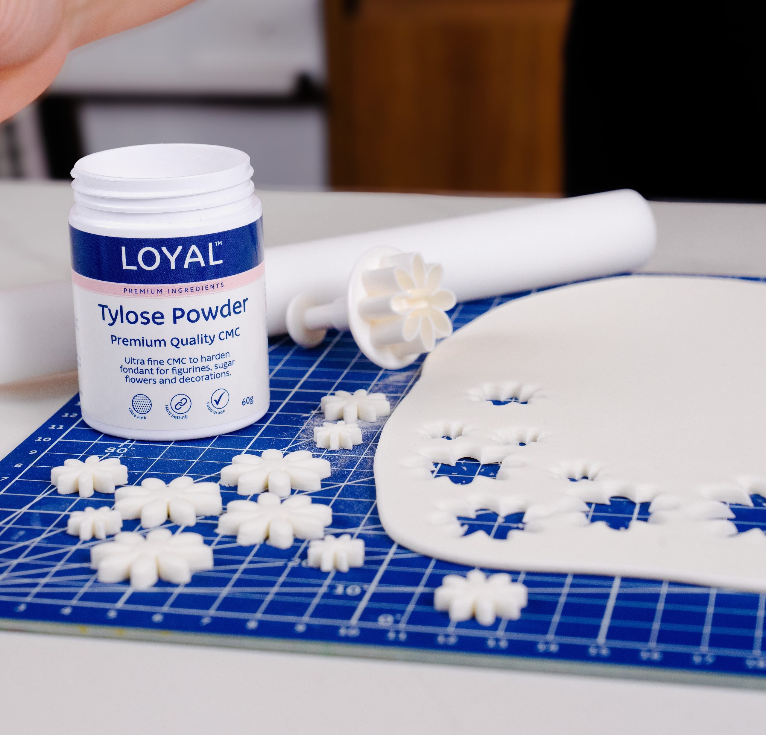LOYAL Tylose Powder 60g