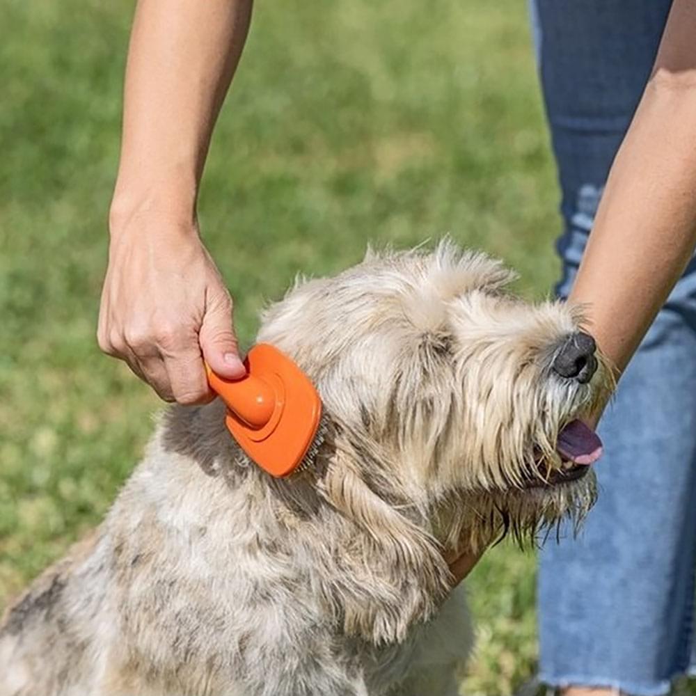 Vigar Pets Club Pet Hair Brush