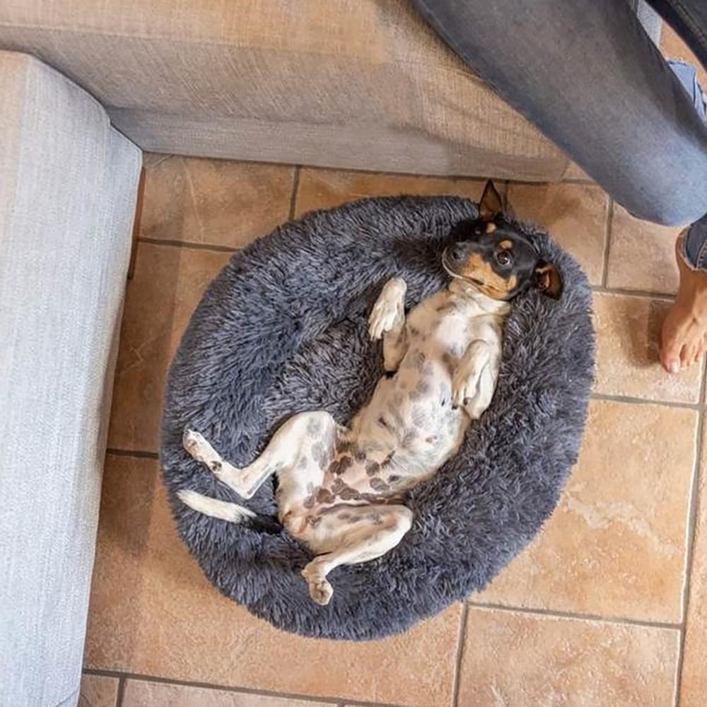 Vigar Pets Club Pet Bed