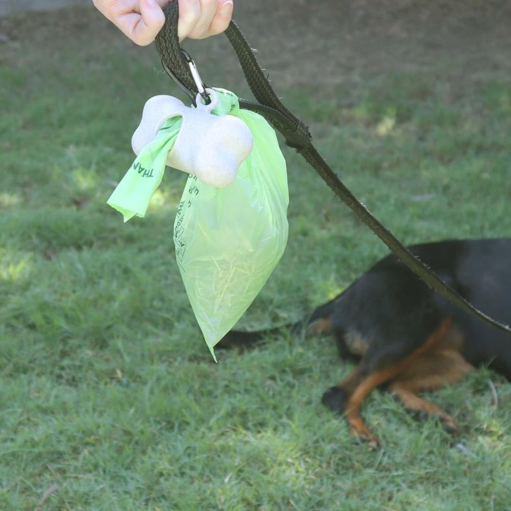 Eco Basics Biodegradable Doggy Bags 2 Rolls, 30 Bags