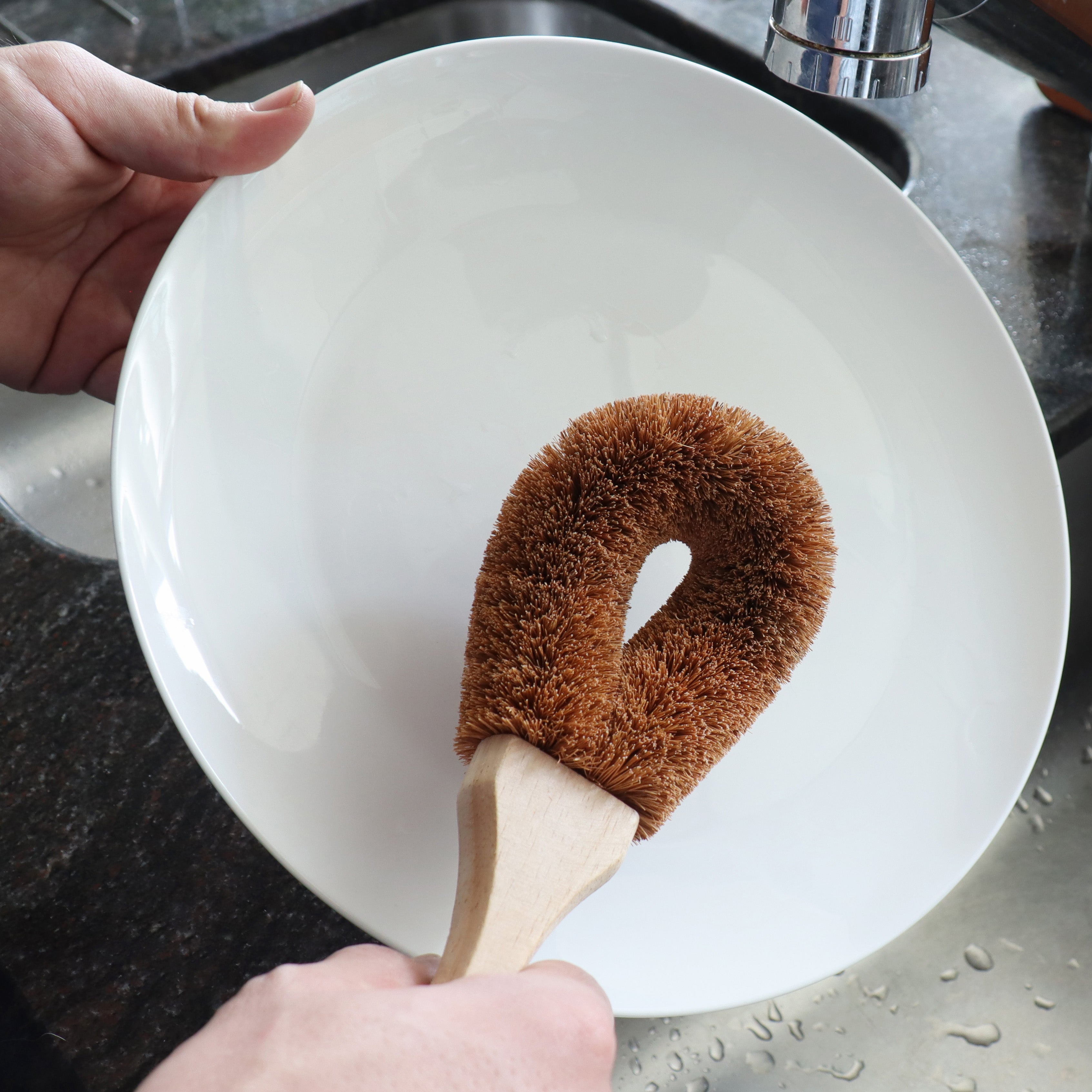 Eco Basics Natural Plus Dish Brush Large