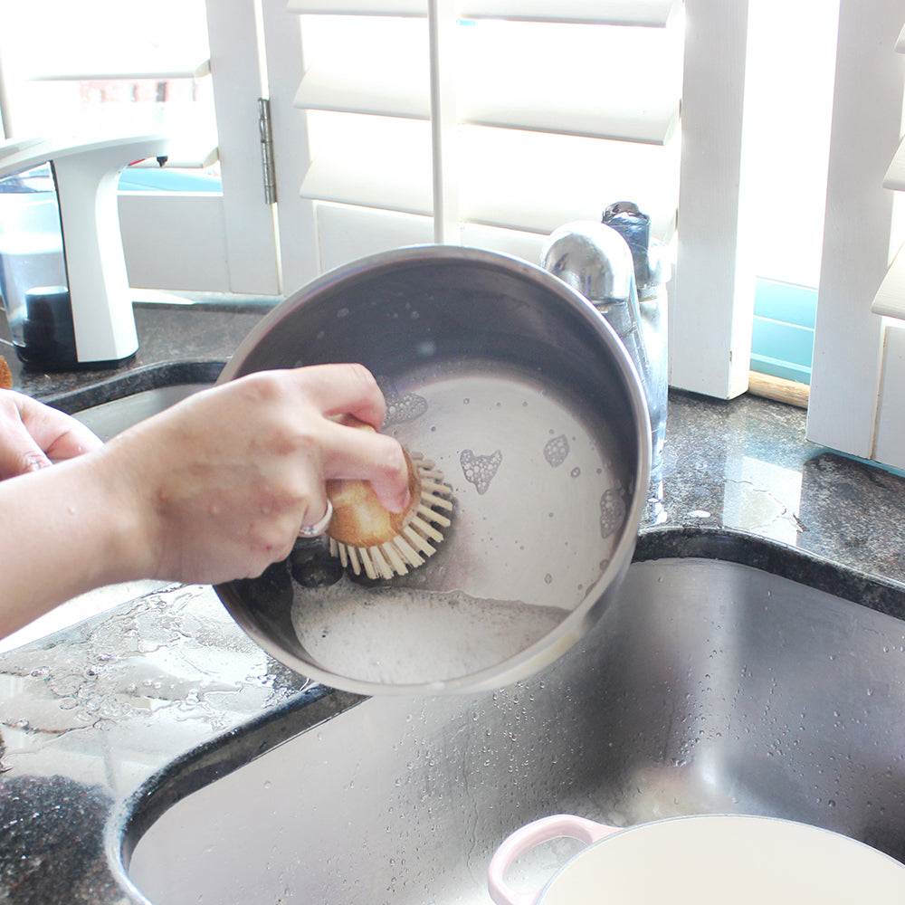 Eco Basics Pot Brush