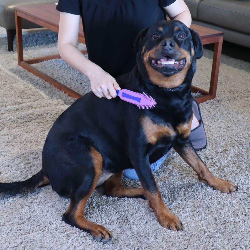 White Magic Pet Hair Brush