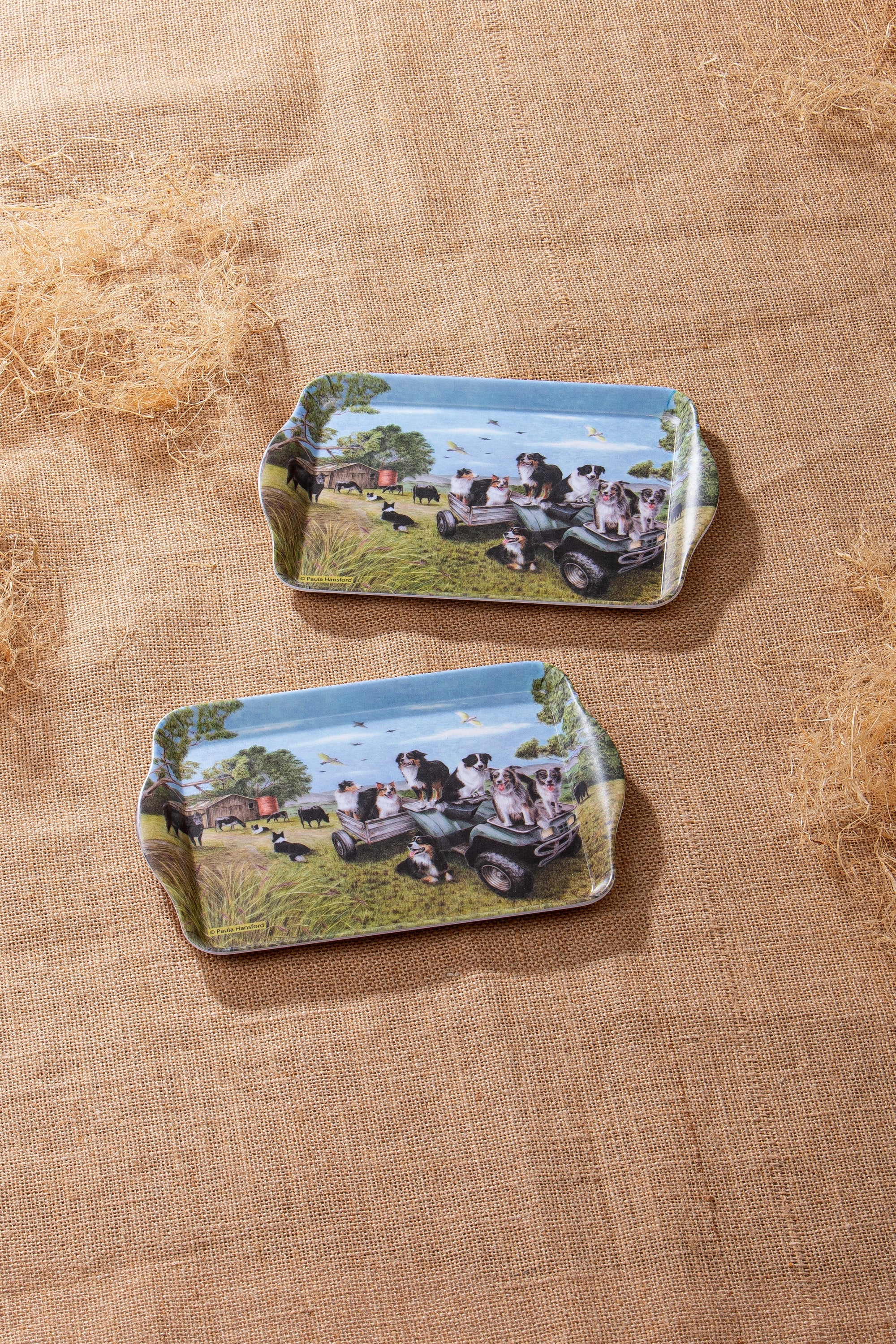 Ashdene Working Dogs Quad Bike 2pk Scatter Tray
