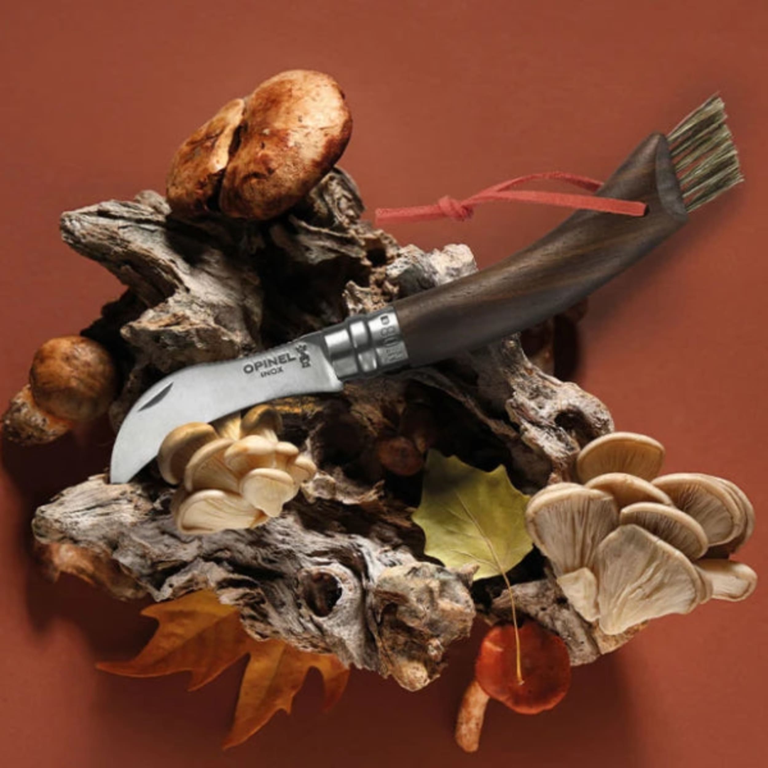 Opinel No.08 Mushroom Knife Black Walnut