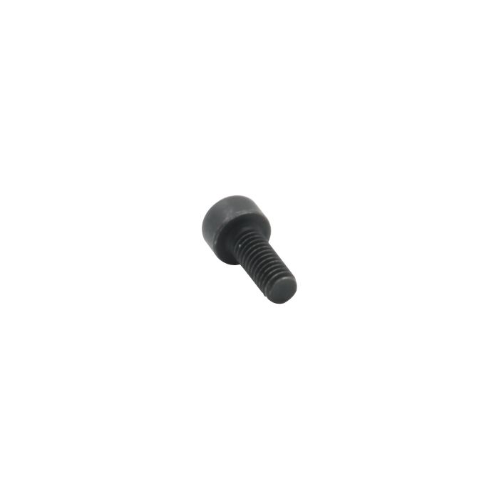 Anfim Spout Screw 4x10