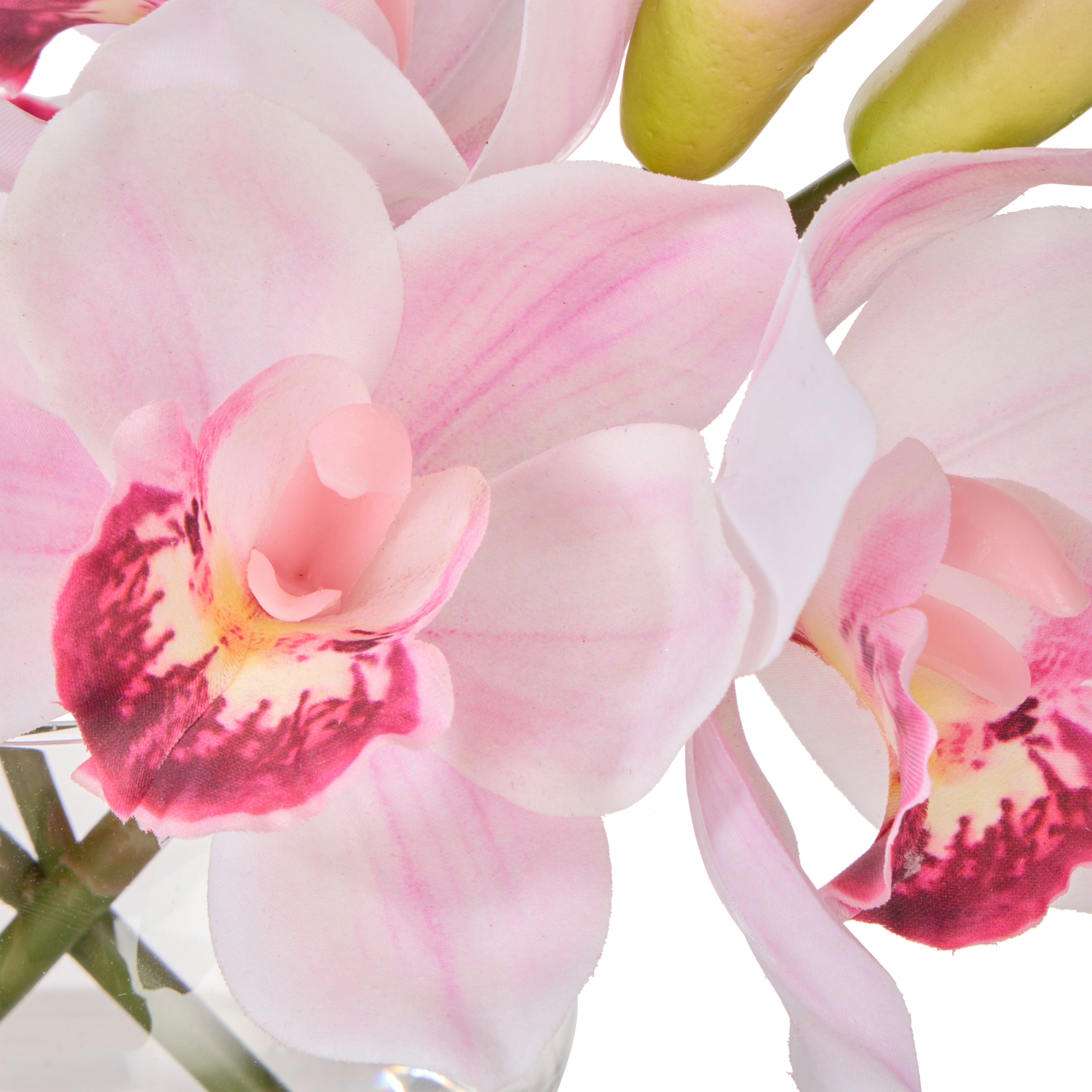 Rogue Cymbidium-Glass Vase Pink 20cm