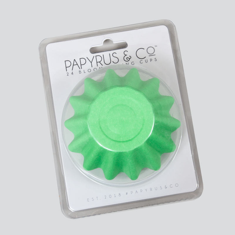 Papyrus Bloom Baking Cups Pastel Green 24 Pack