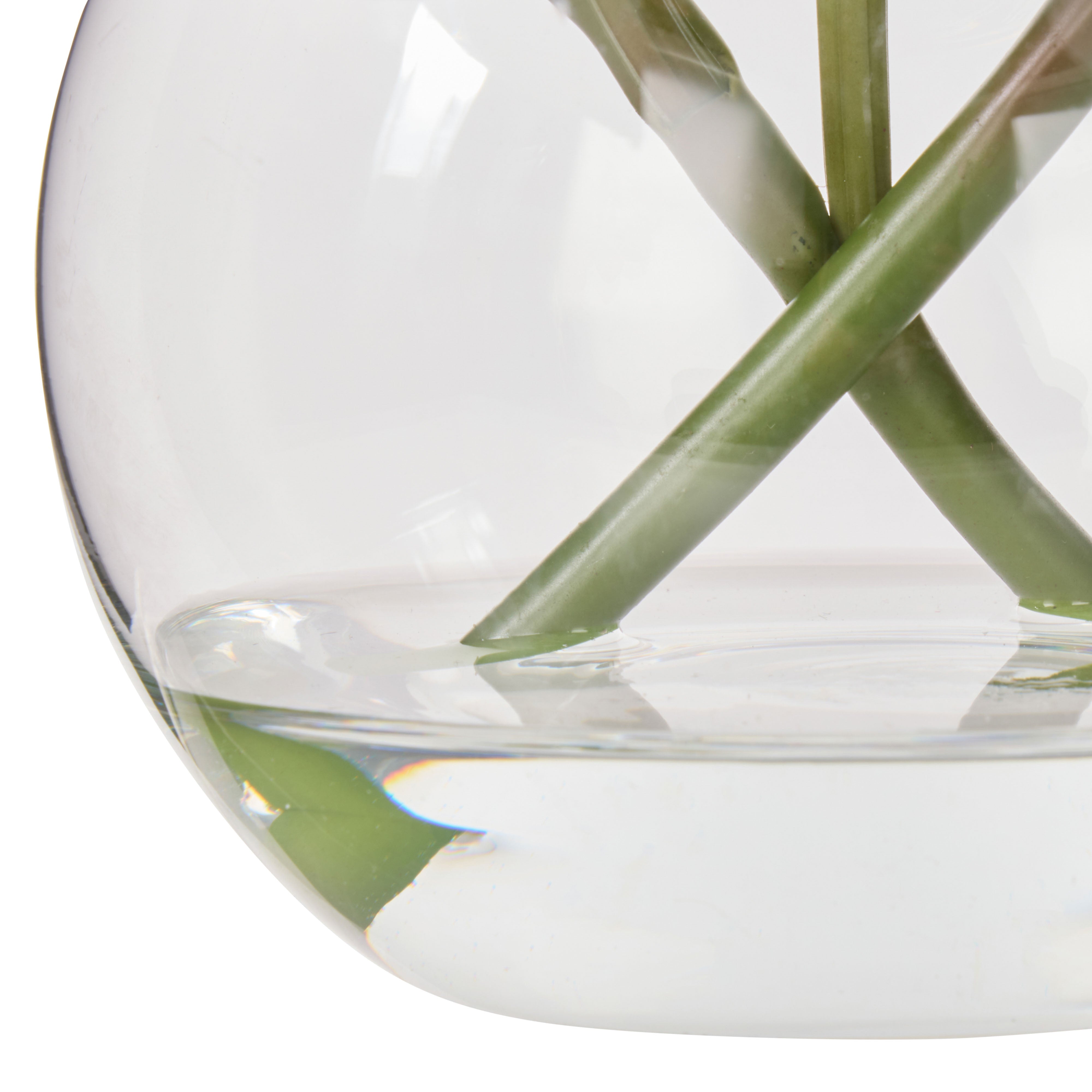 Rogue Cymbidium-Glass Vase Orange 20cm