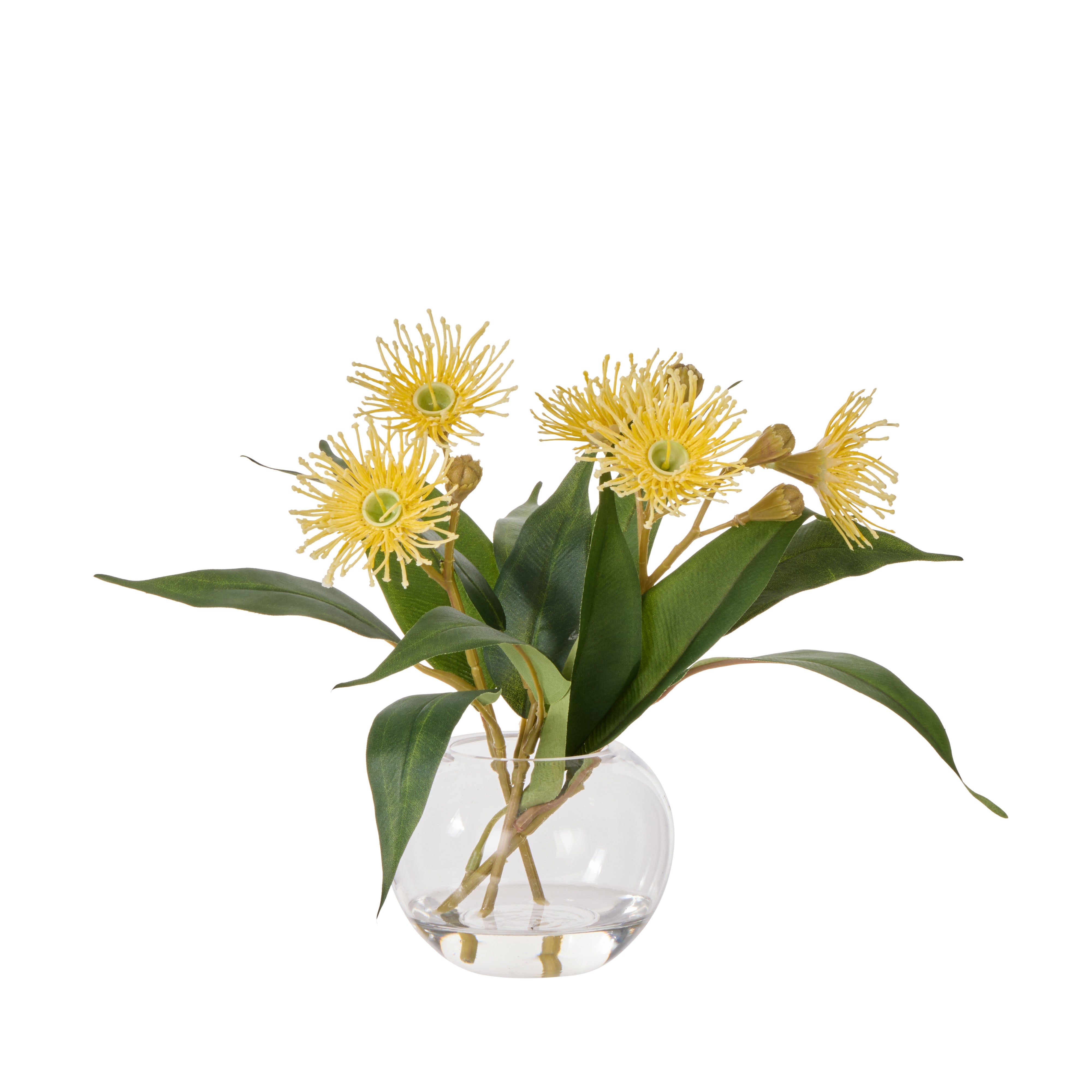 Rogue Flowering Eucalyptus - Sphere