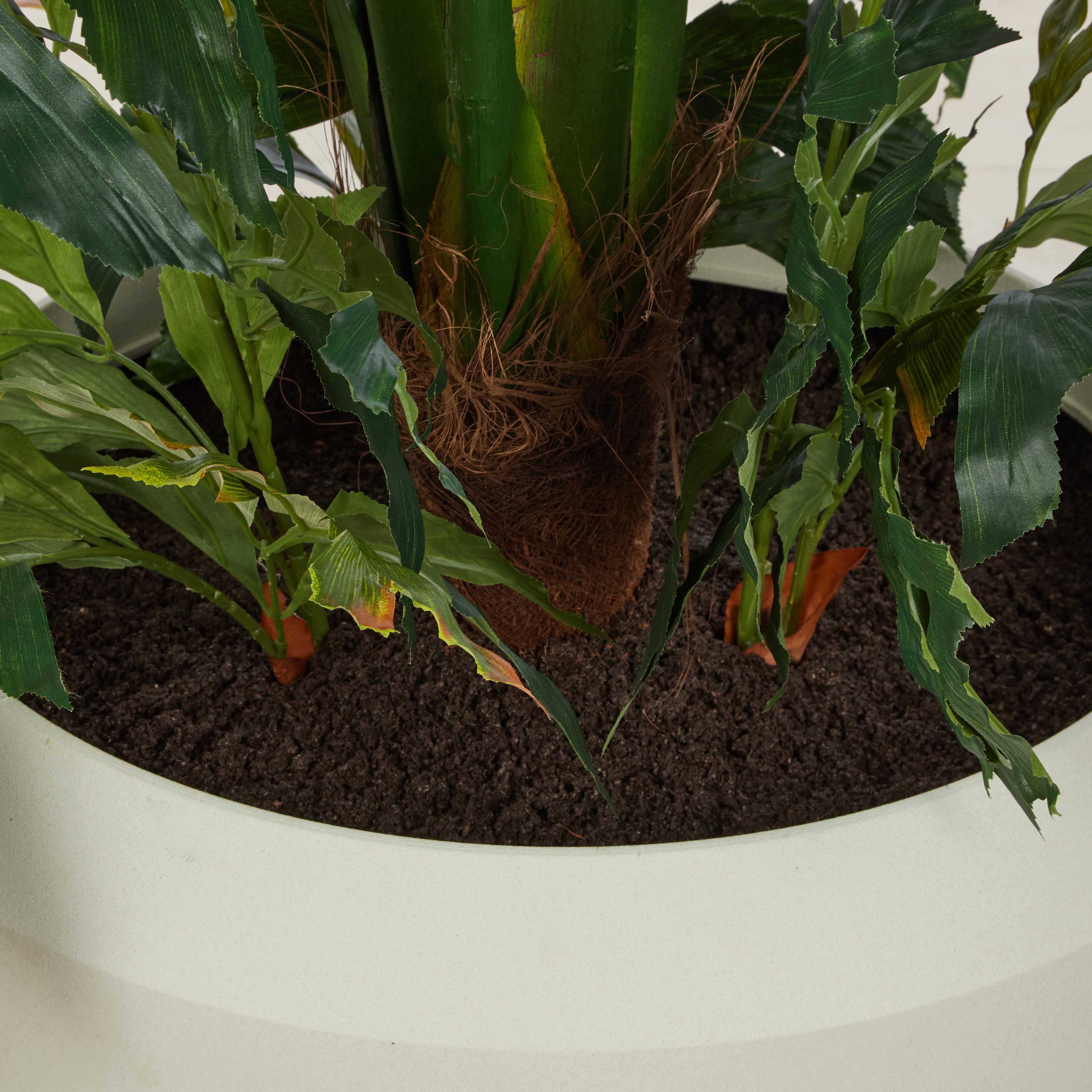 Rogue Caryota Palm Tree - Vienna Planter