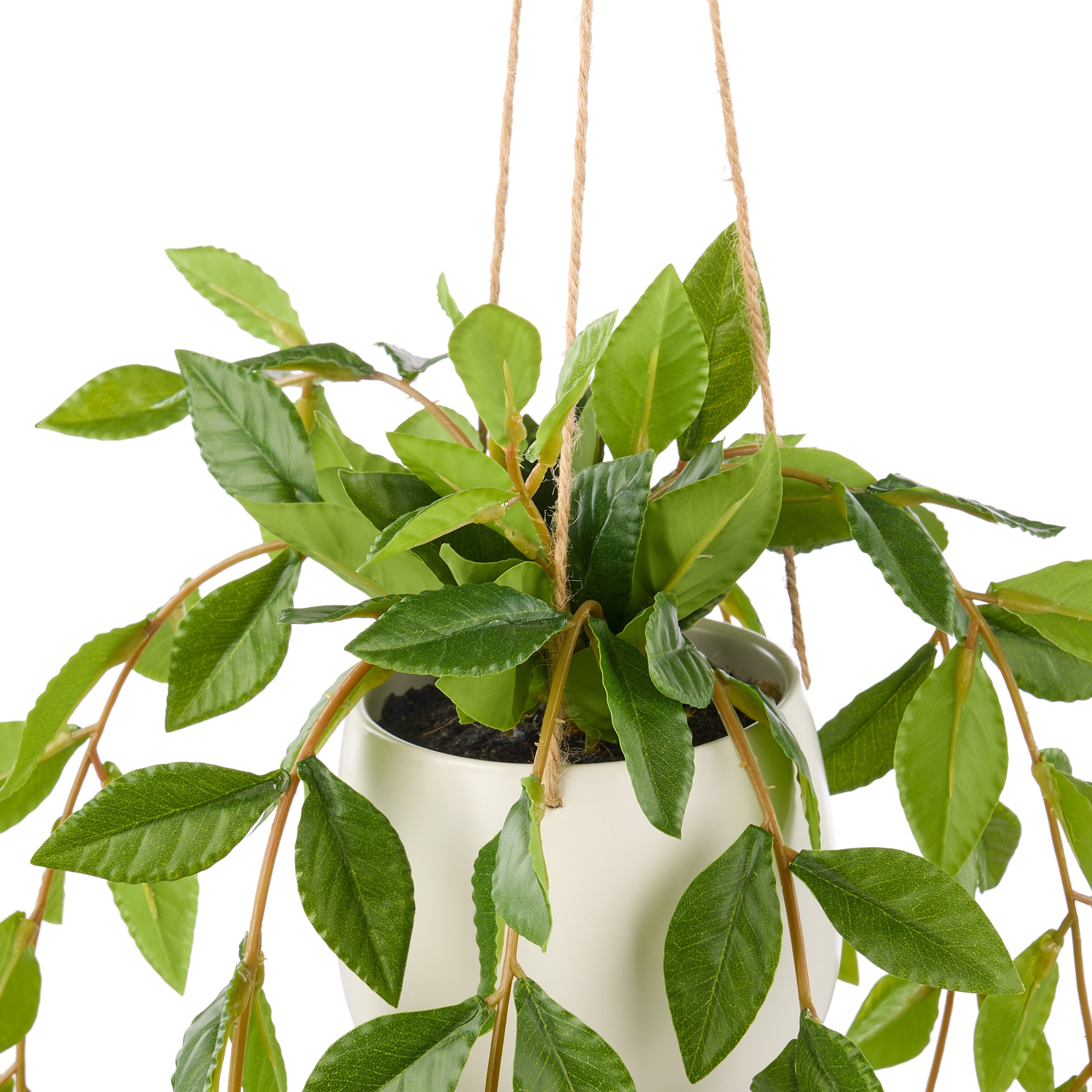 Rogue Lush Leaf Hanging Pot