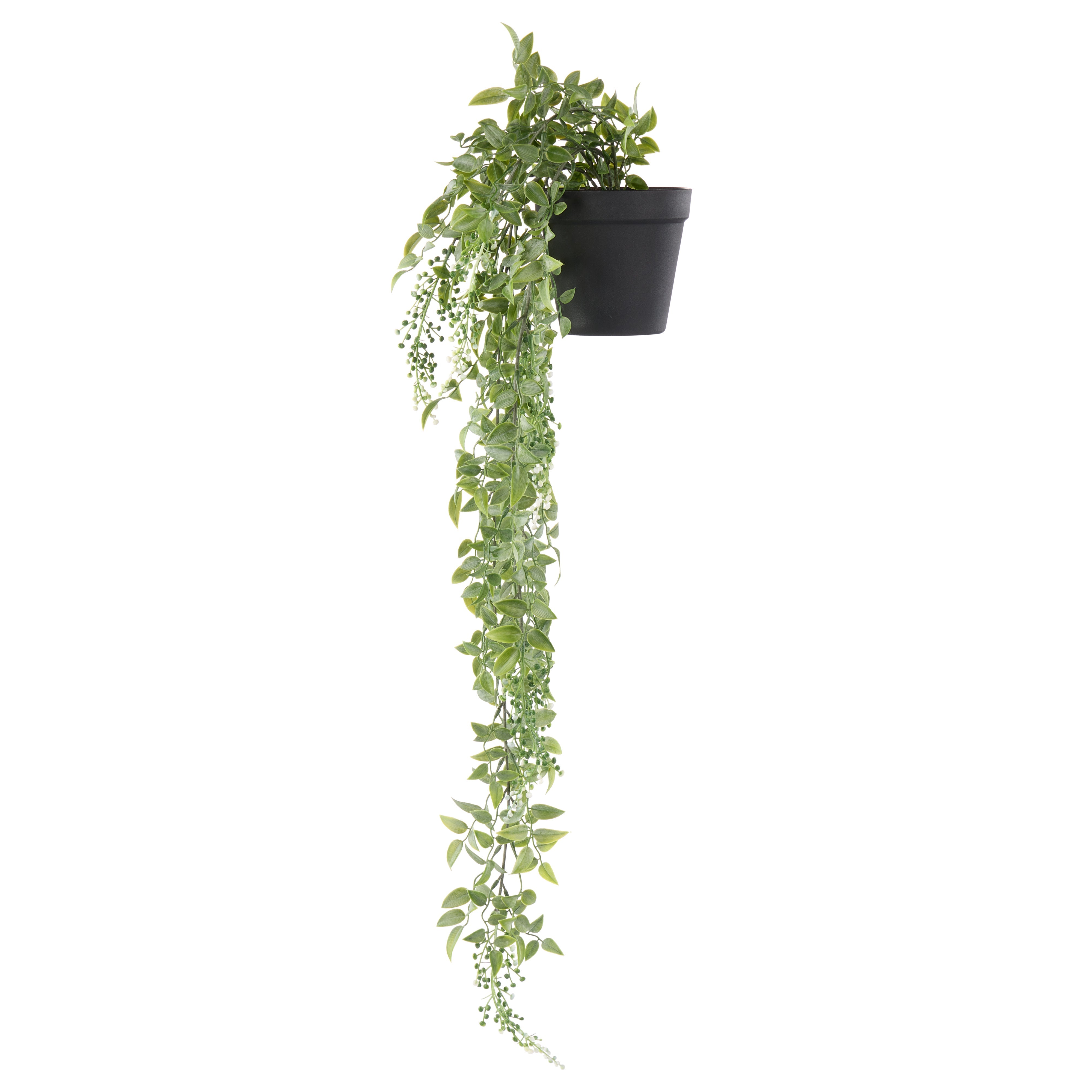 Rogue Budding Hanging Bush - Garden Pot Green & White