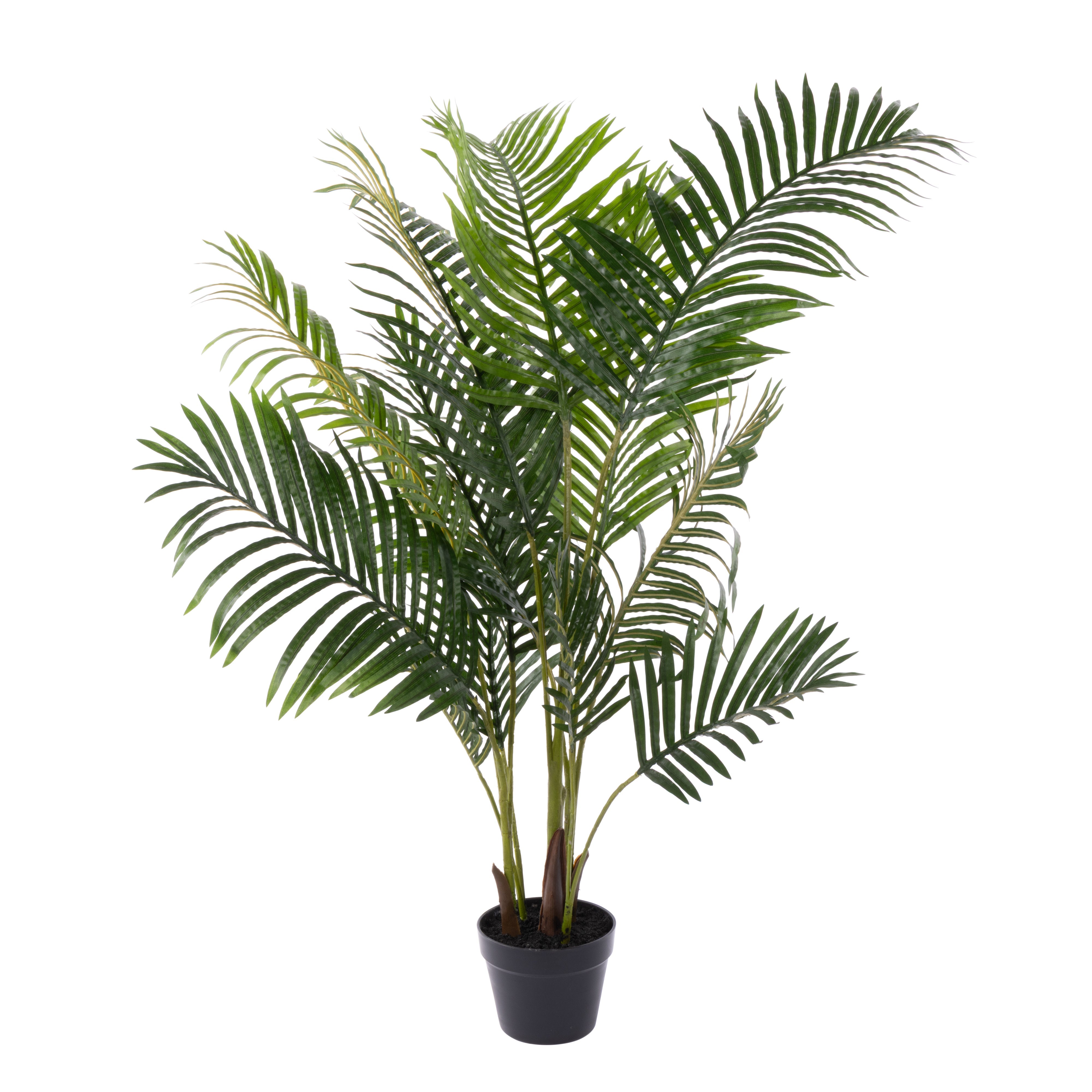 Rogue Areca Palm UV - Garden Pot 140cm