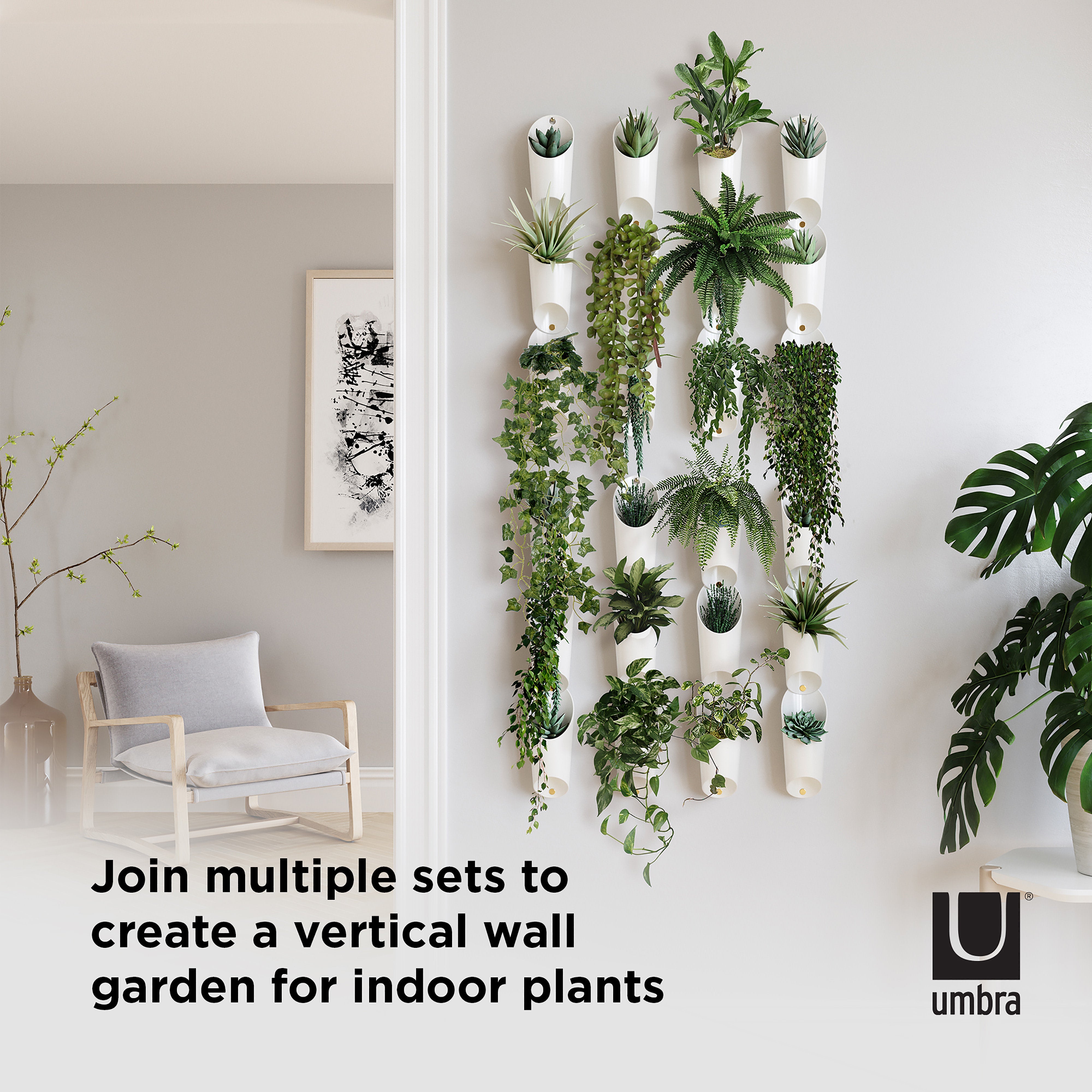 Umbra Floralink Wall Vessel
