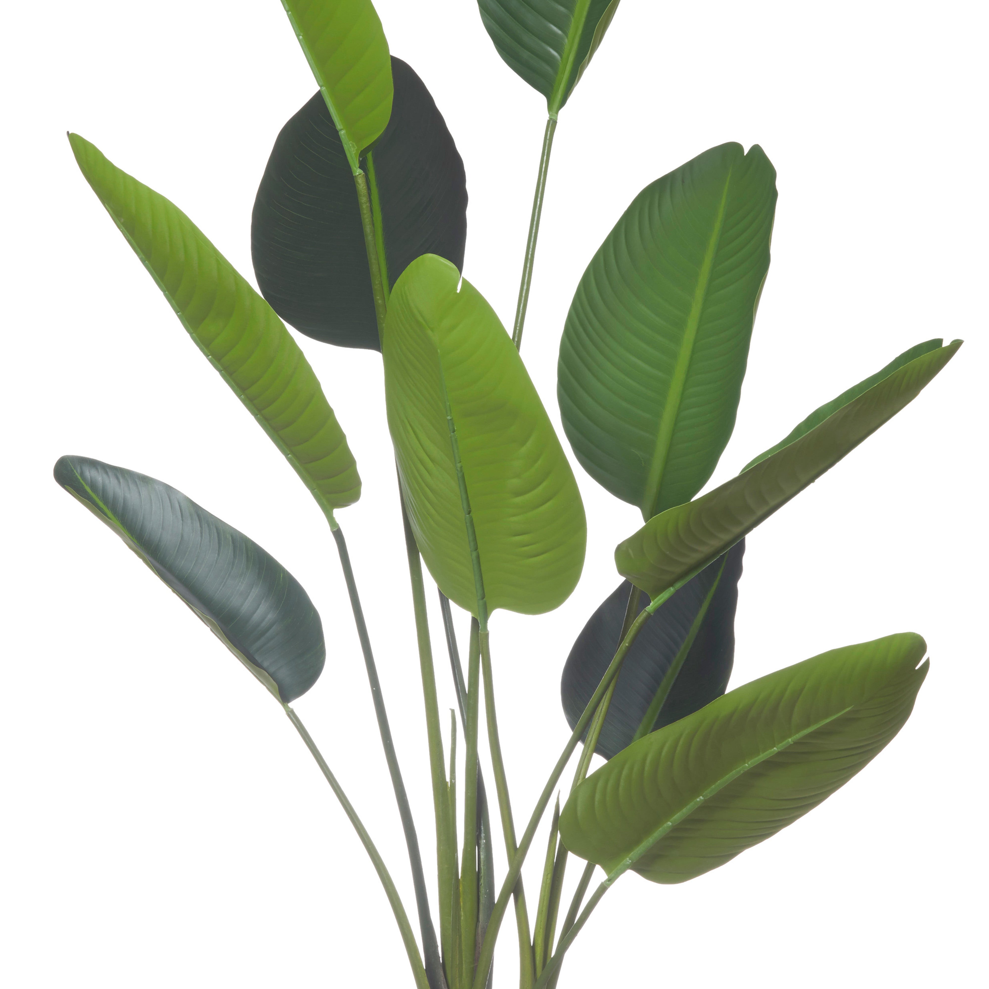 Rogue Giant Bird of Paradise Plant Real Touch 152cm