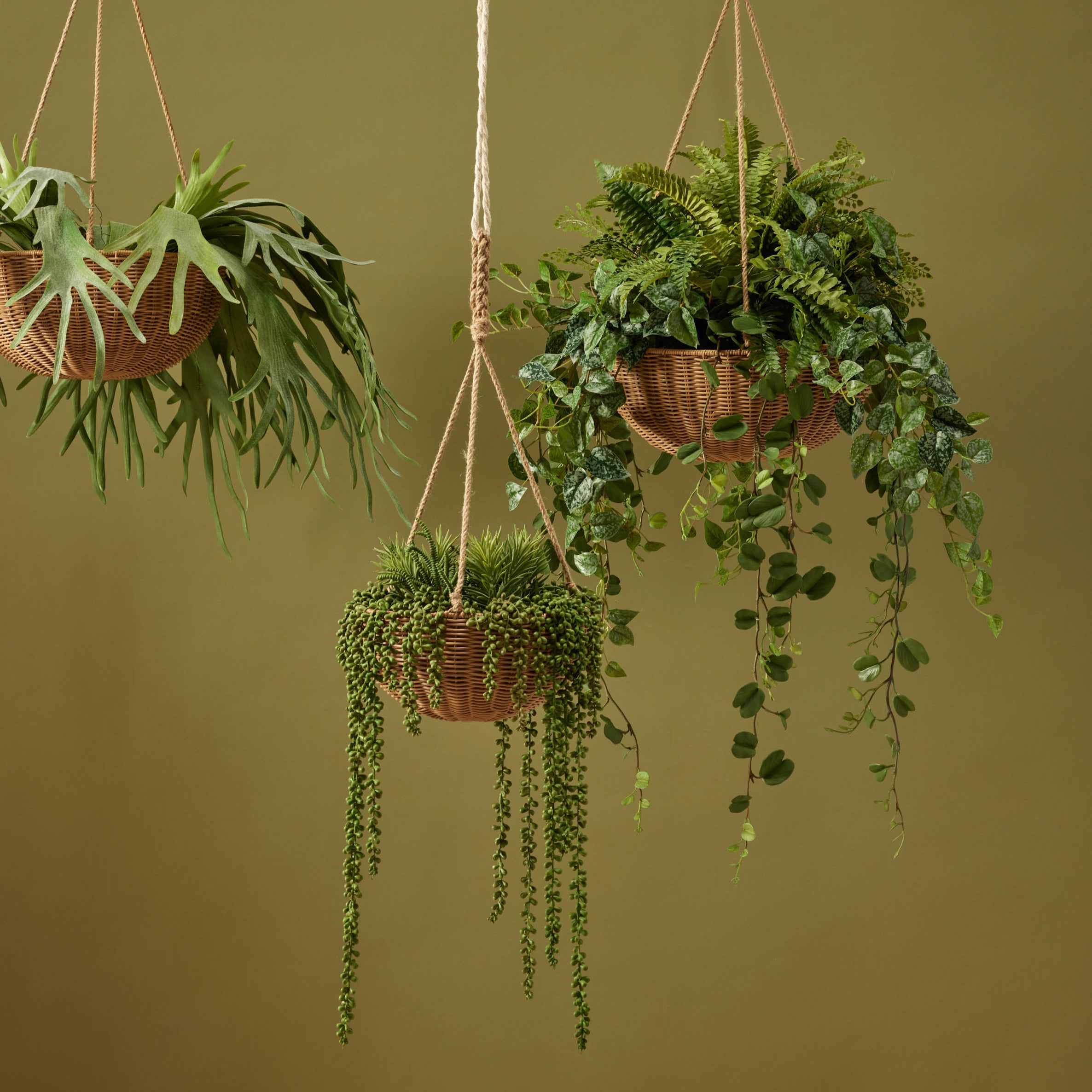 Rogue Fern Garden Mix - Laos Hanging 147cm