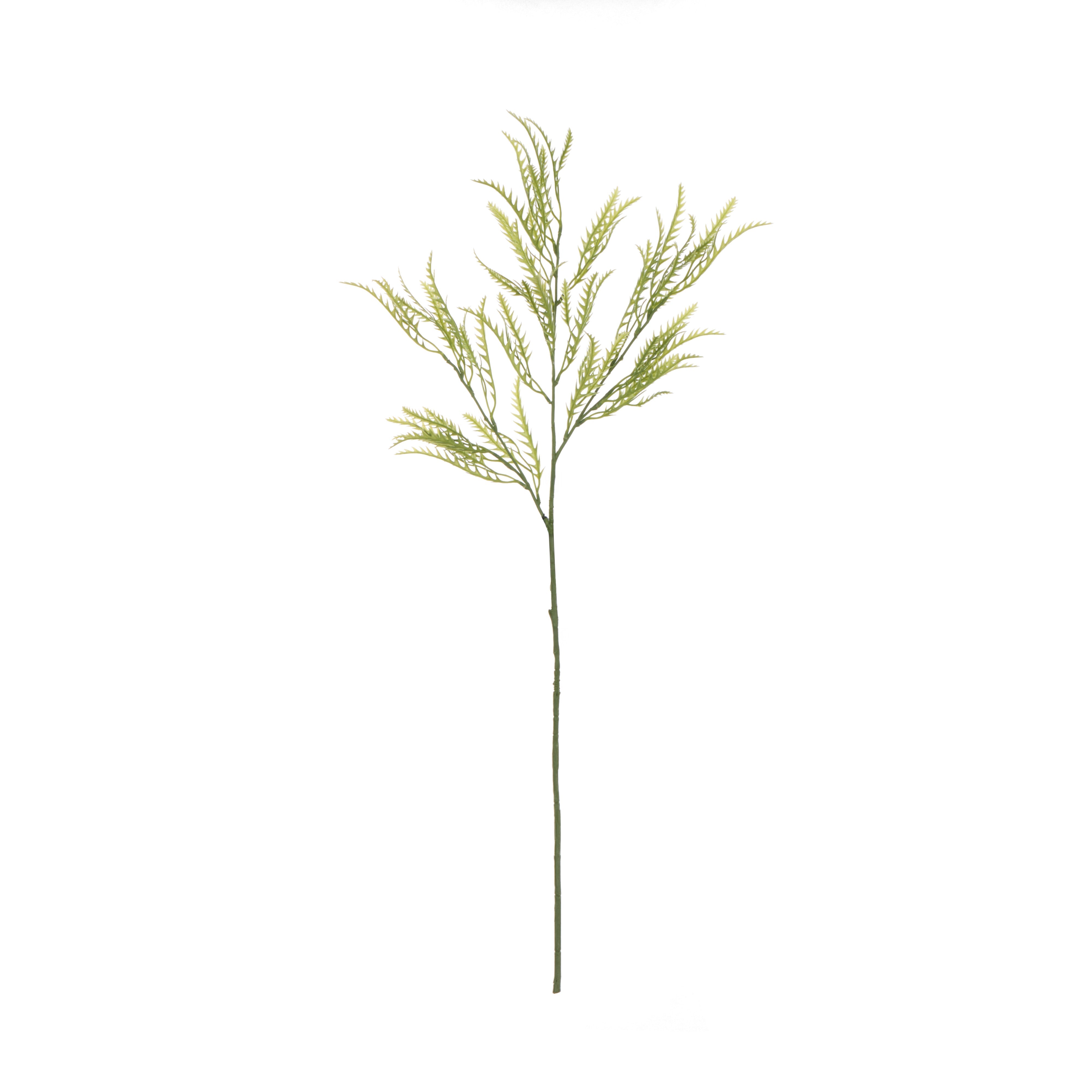 Rogue Grevillea Leaf Spray