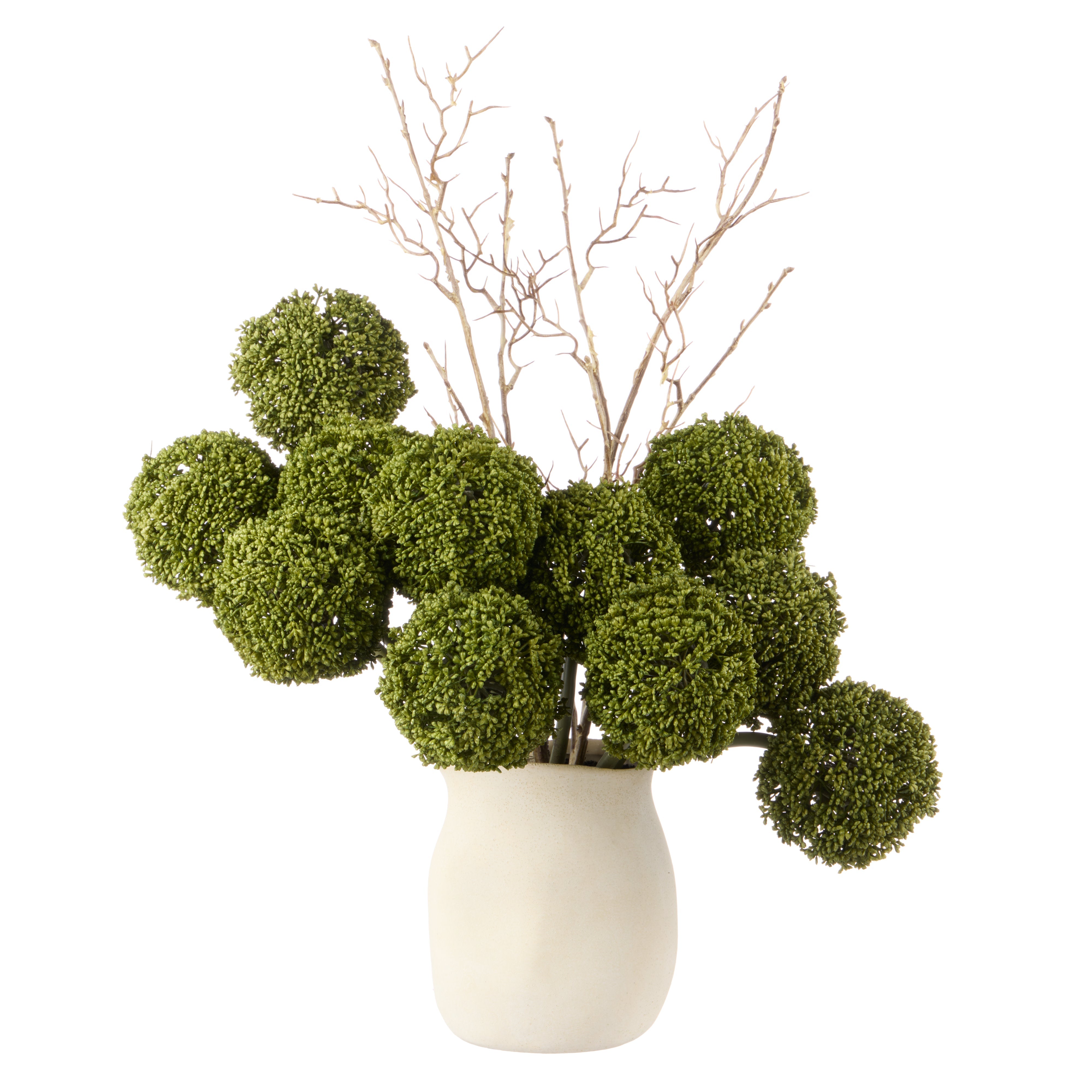 Rogue Allium - Maliah Pot Green