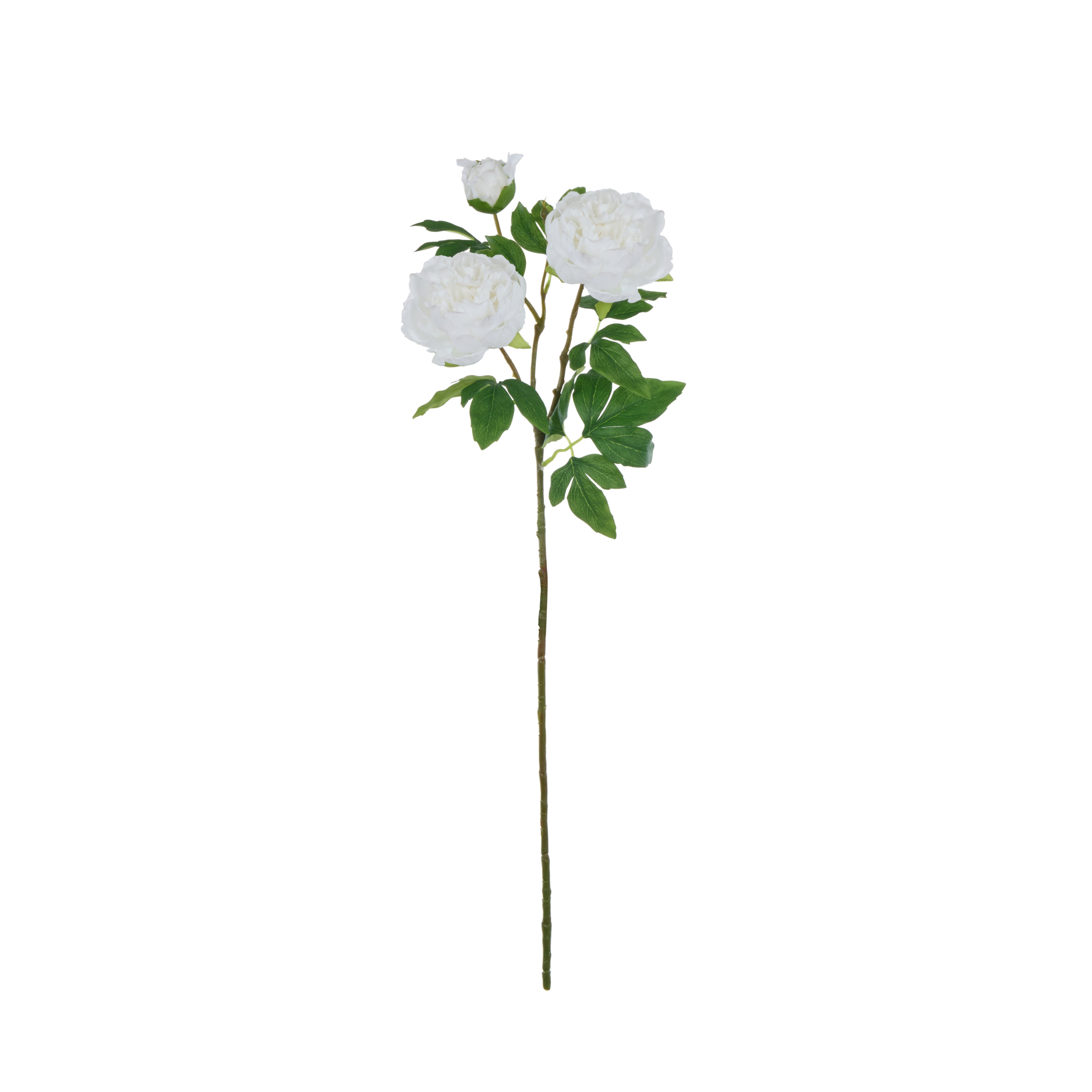 Rogue Peony Spray Real Touch