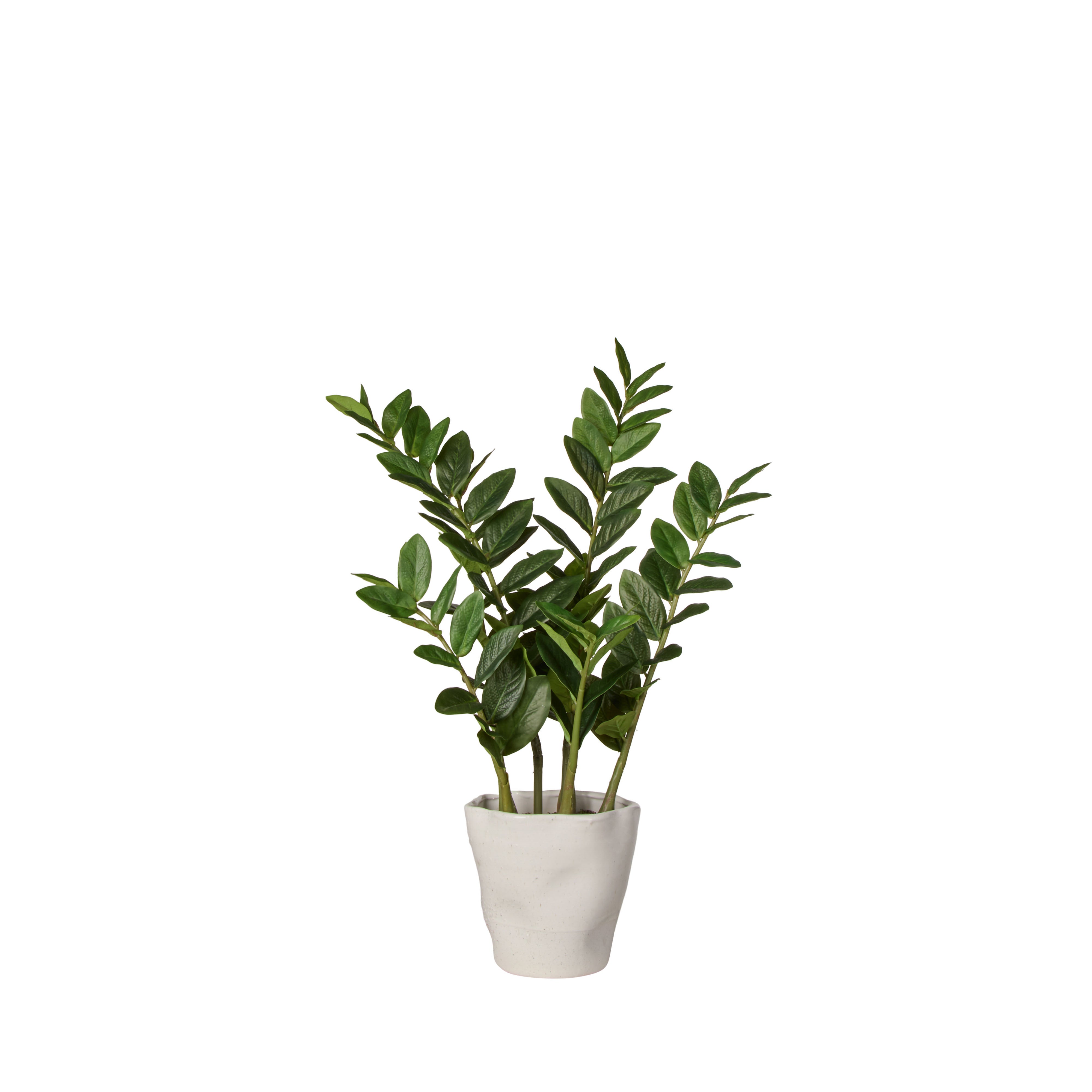 Rogue Zanzibar - Nora Green 64cm
