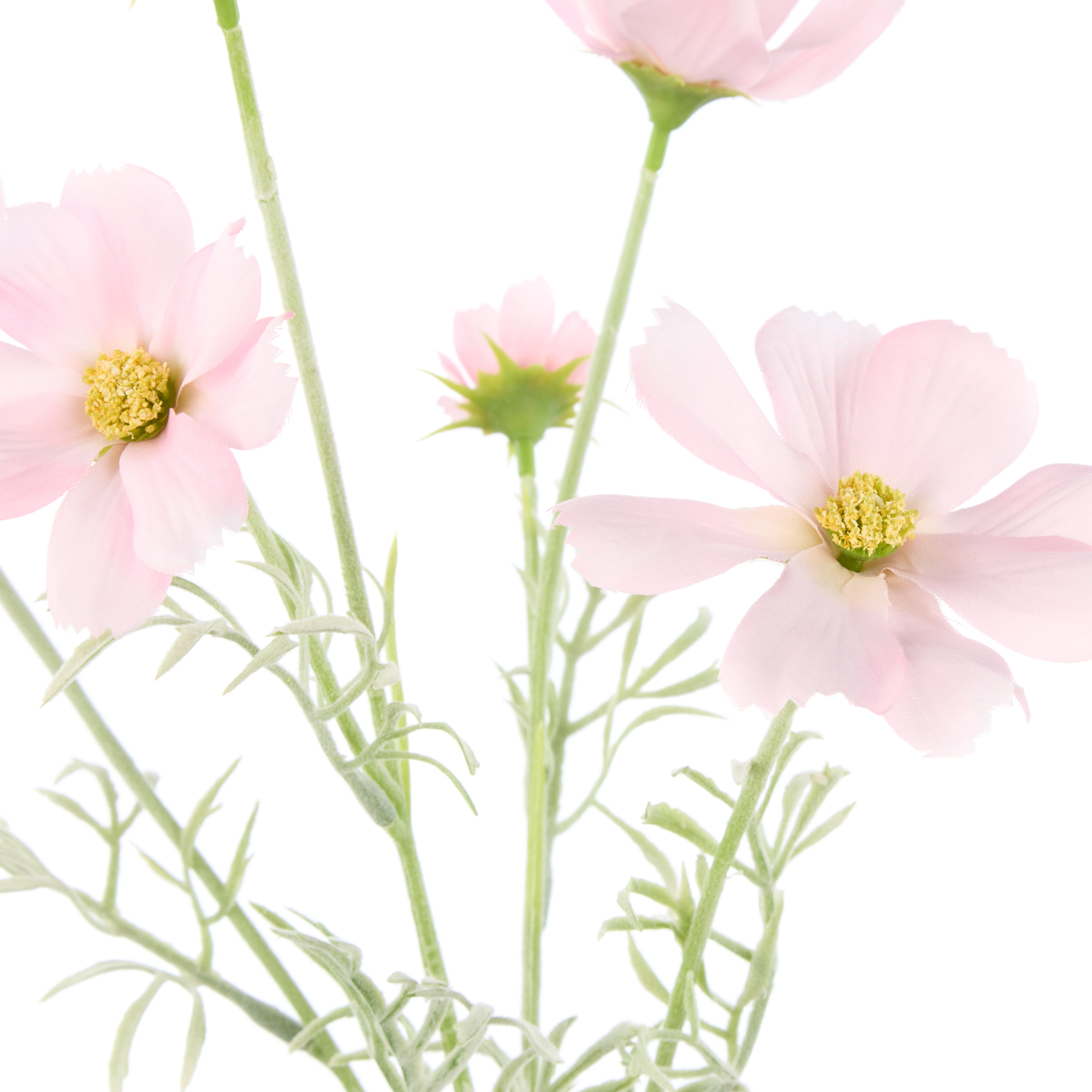 Rogue Cosmos Flower Spray Pink