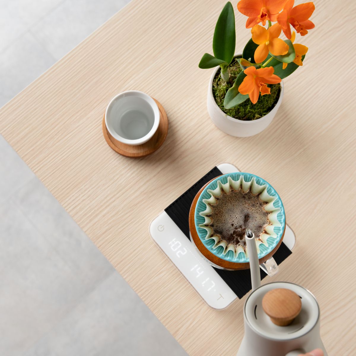 Acaia Pearl 2021 - White