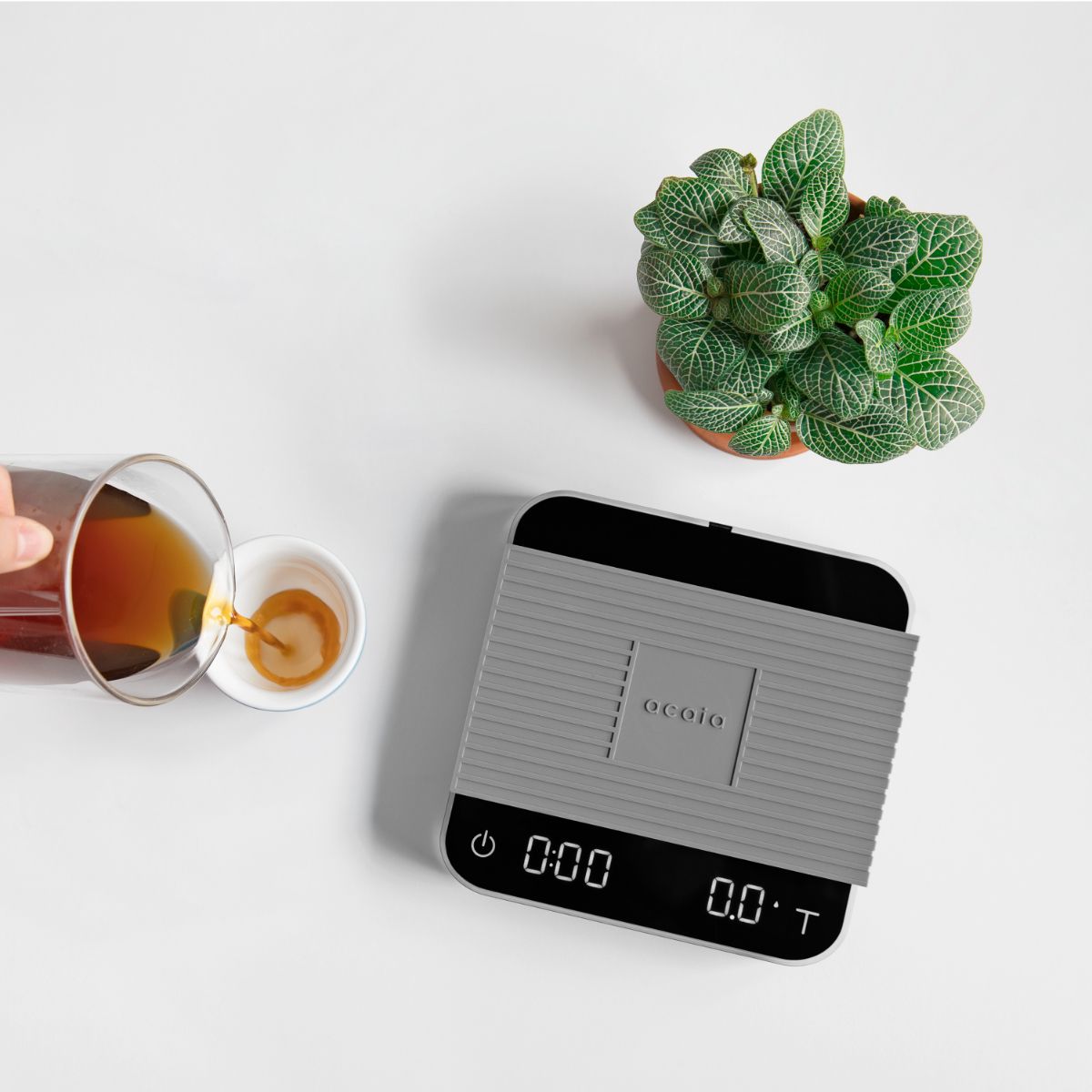 Acaia Pearl 2021 - Black