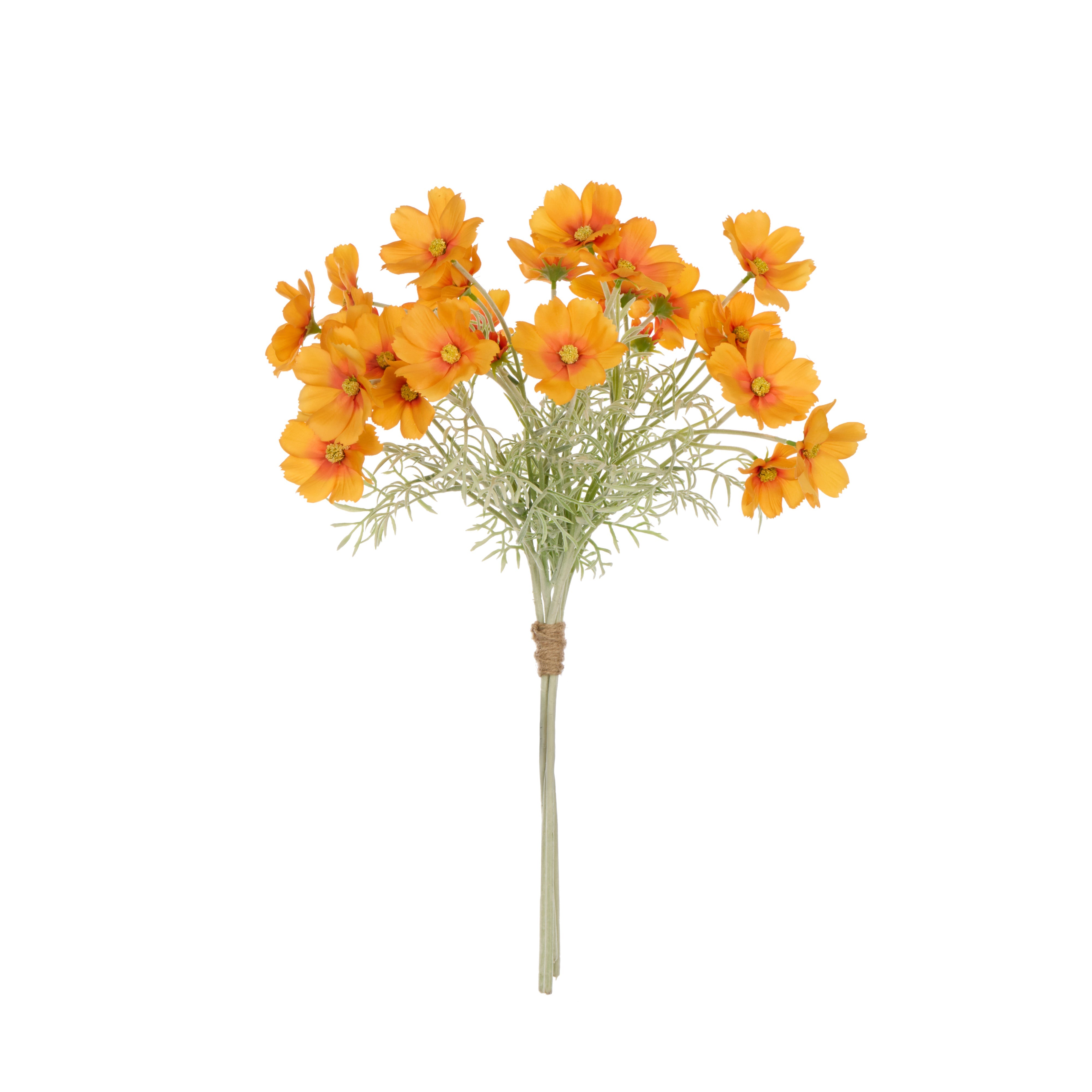 Rogue Cosmos Flower Bunch