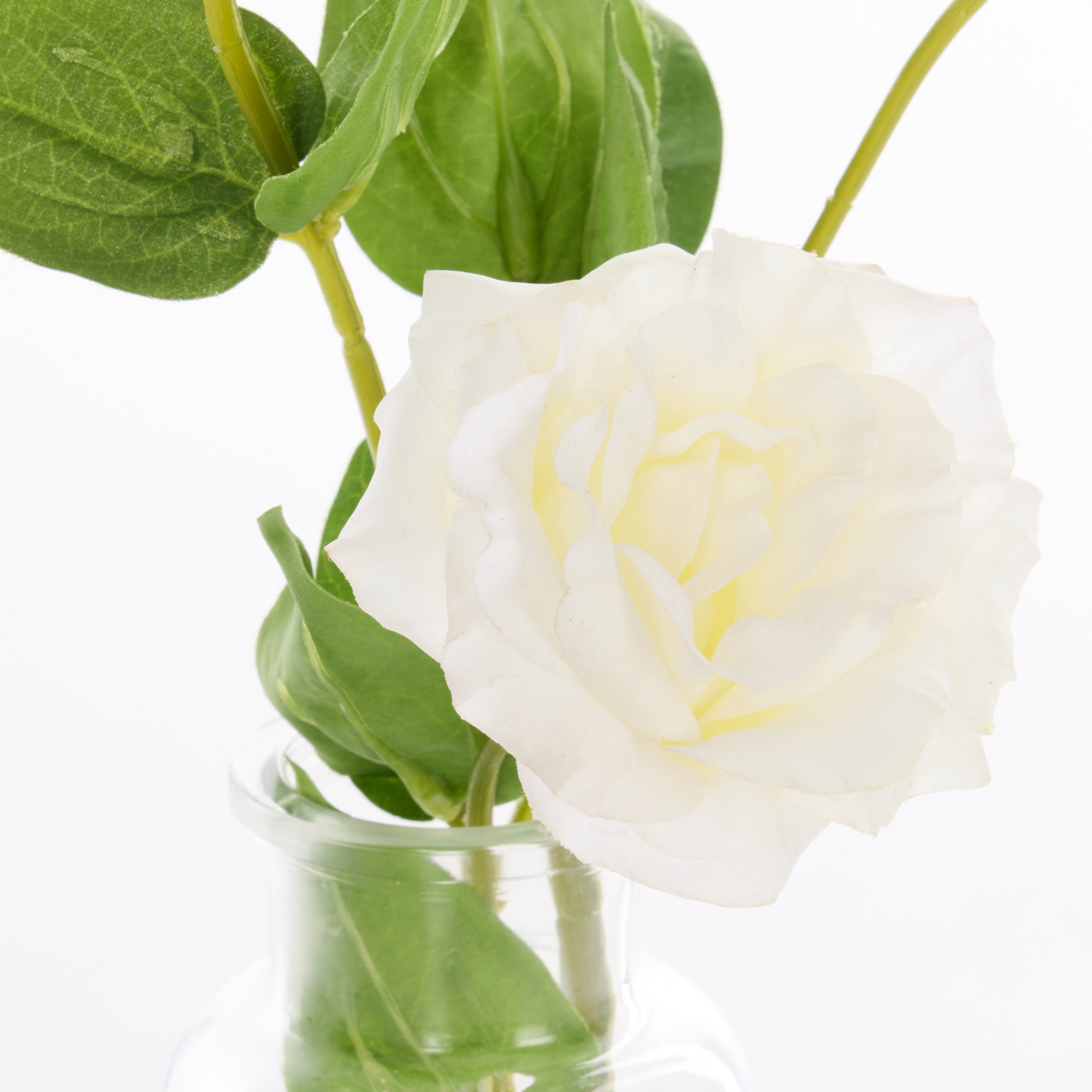 Rogue Lisianthus - Specimen Glass Vase White