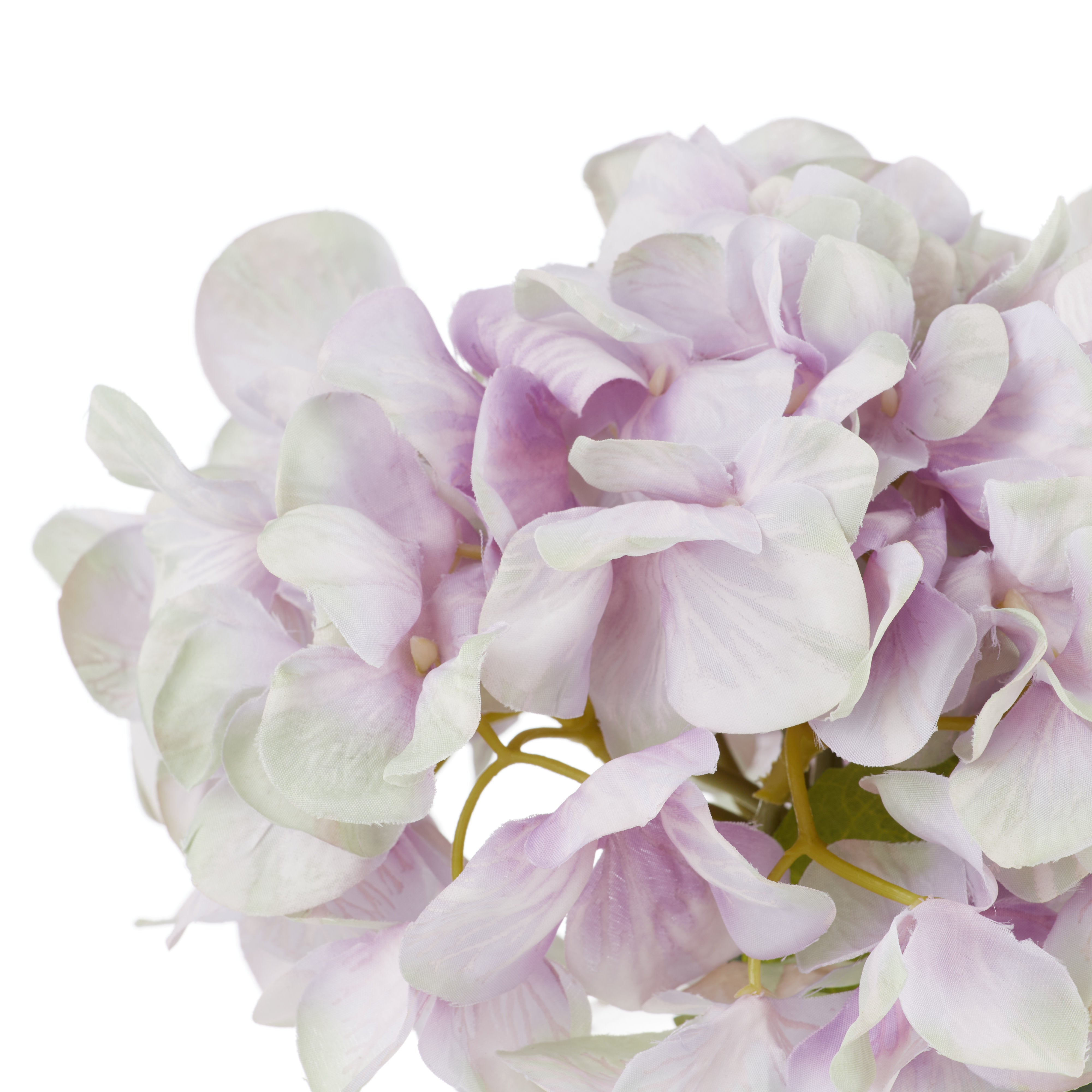 Rogue Hydrangea - Sphere Vase Purple