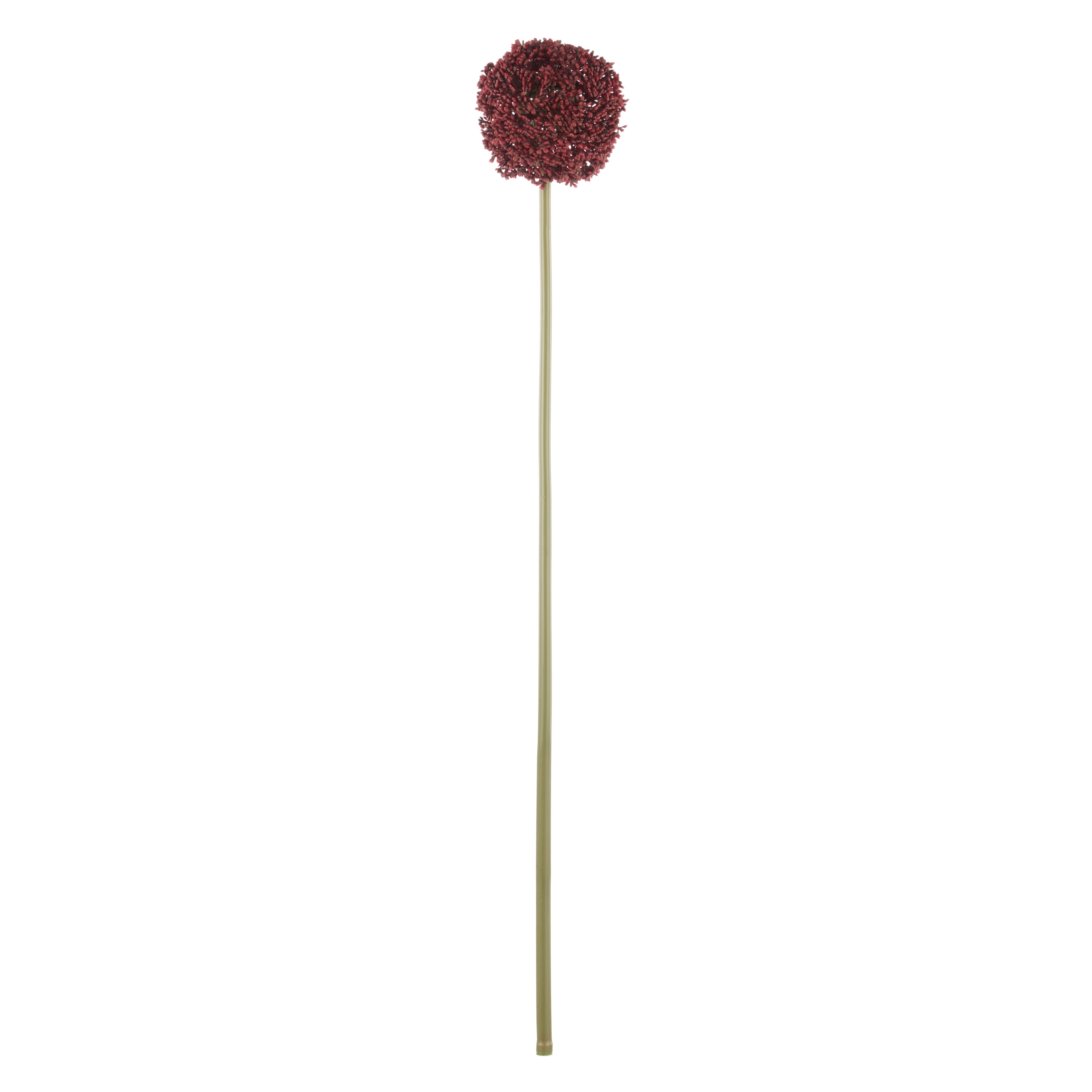 Rogue Allium Spray Burgundy