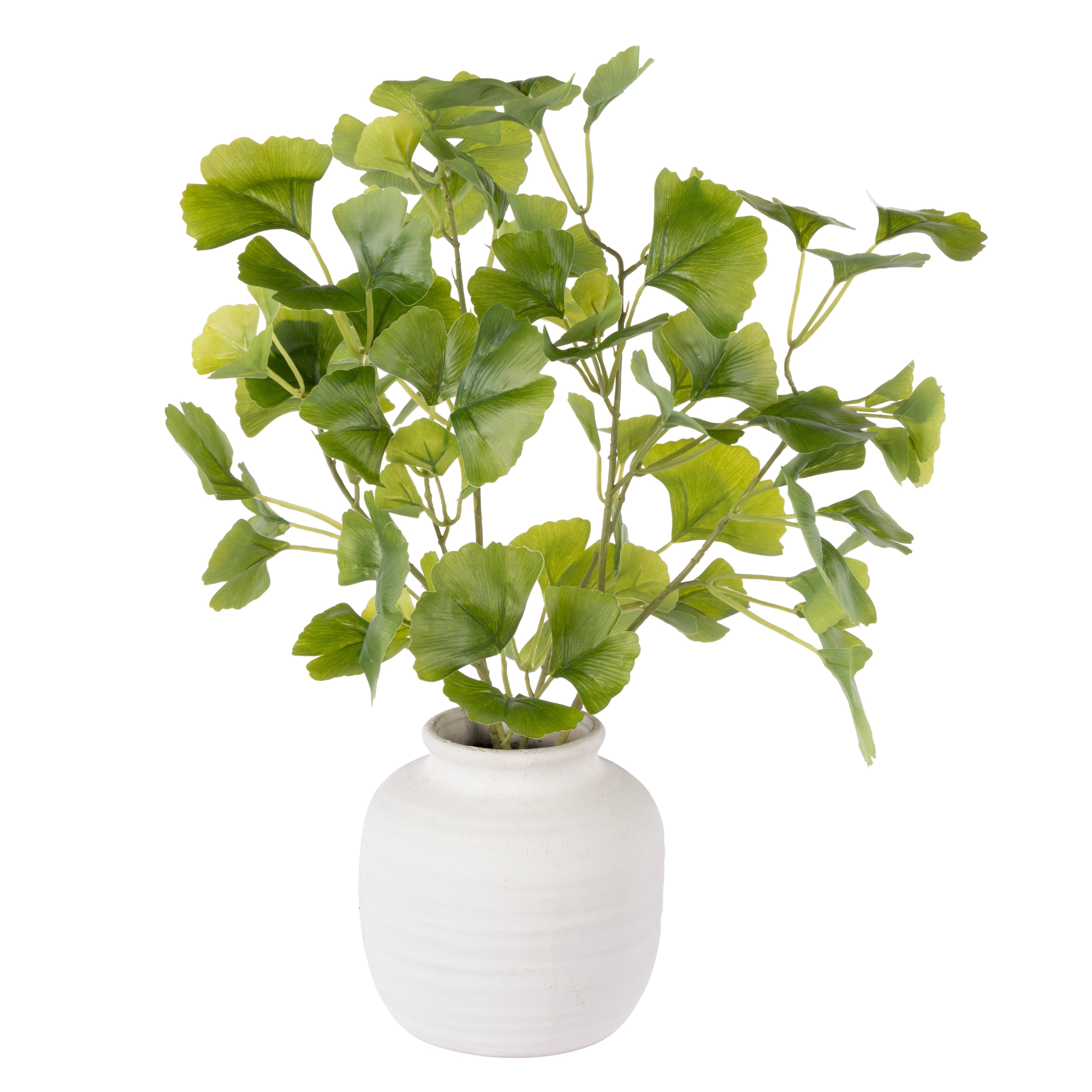 Rogue Ginkgo Mix - Neven Vase