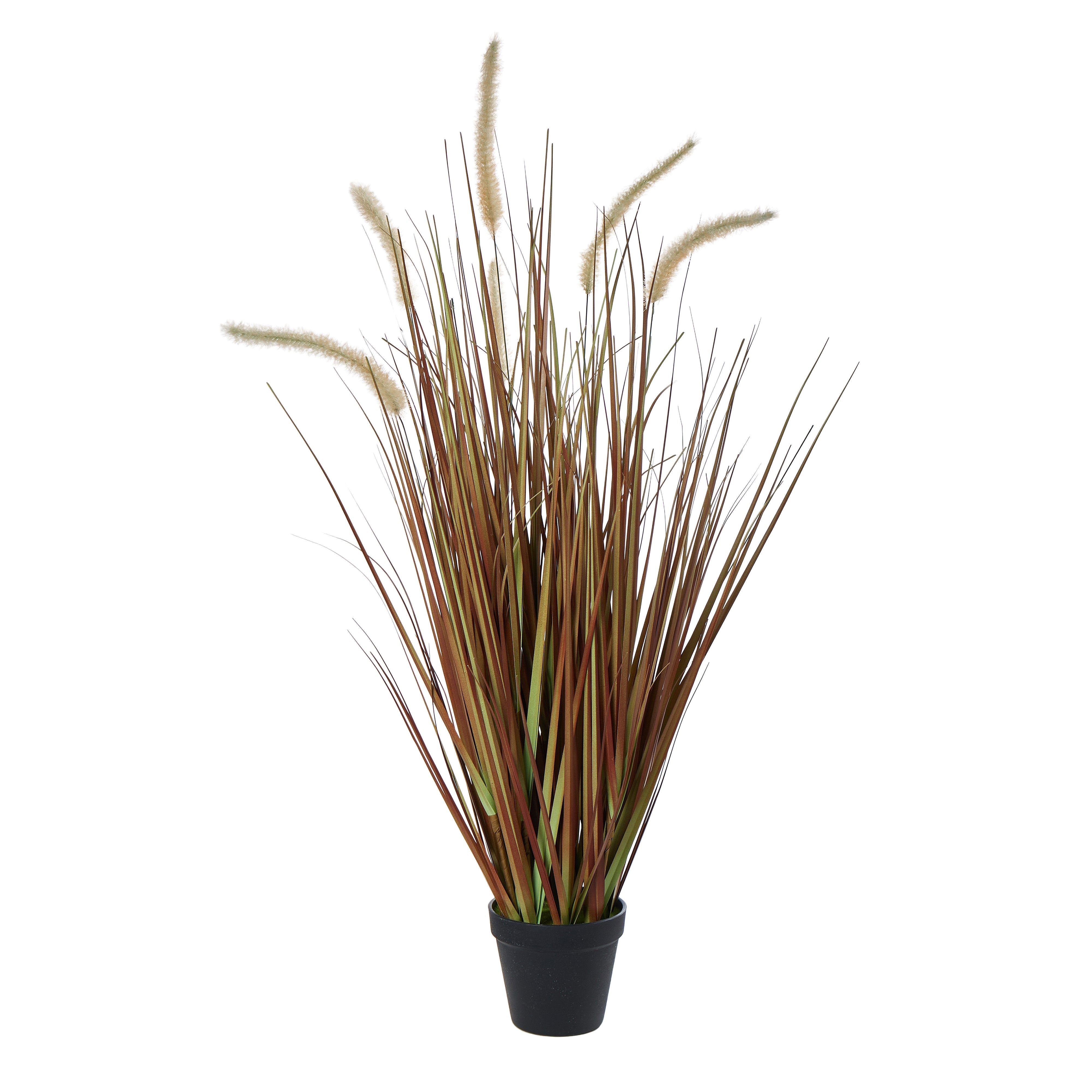 Rogue Grass Plant - Garden Pot Brown