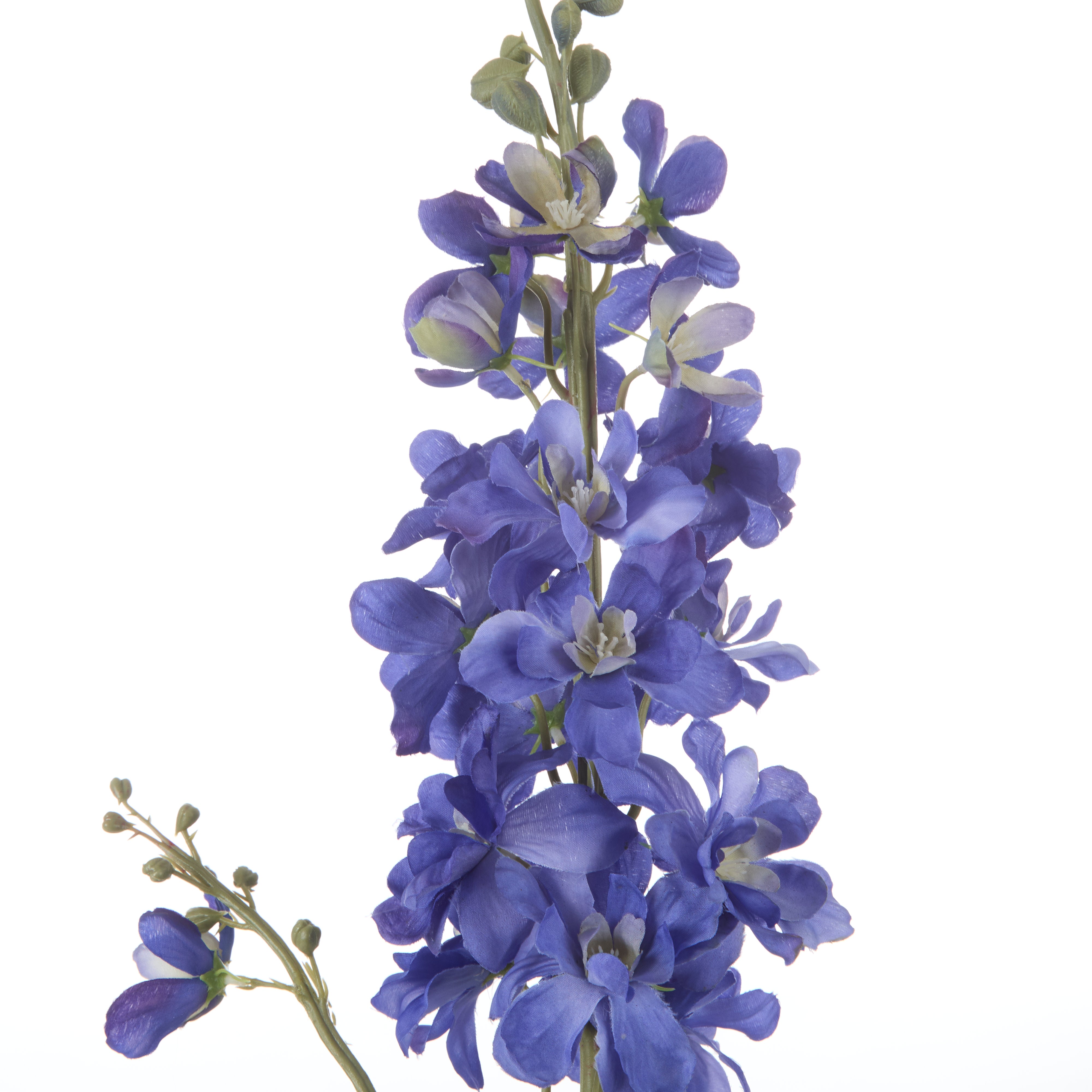 Rogue Delphinium Stem Blue