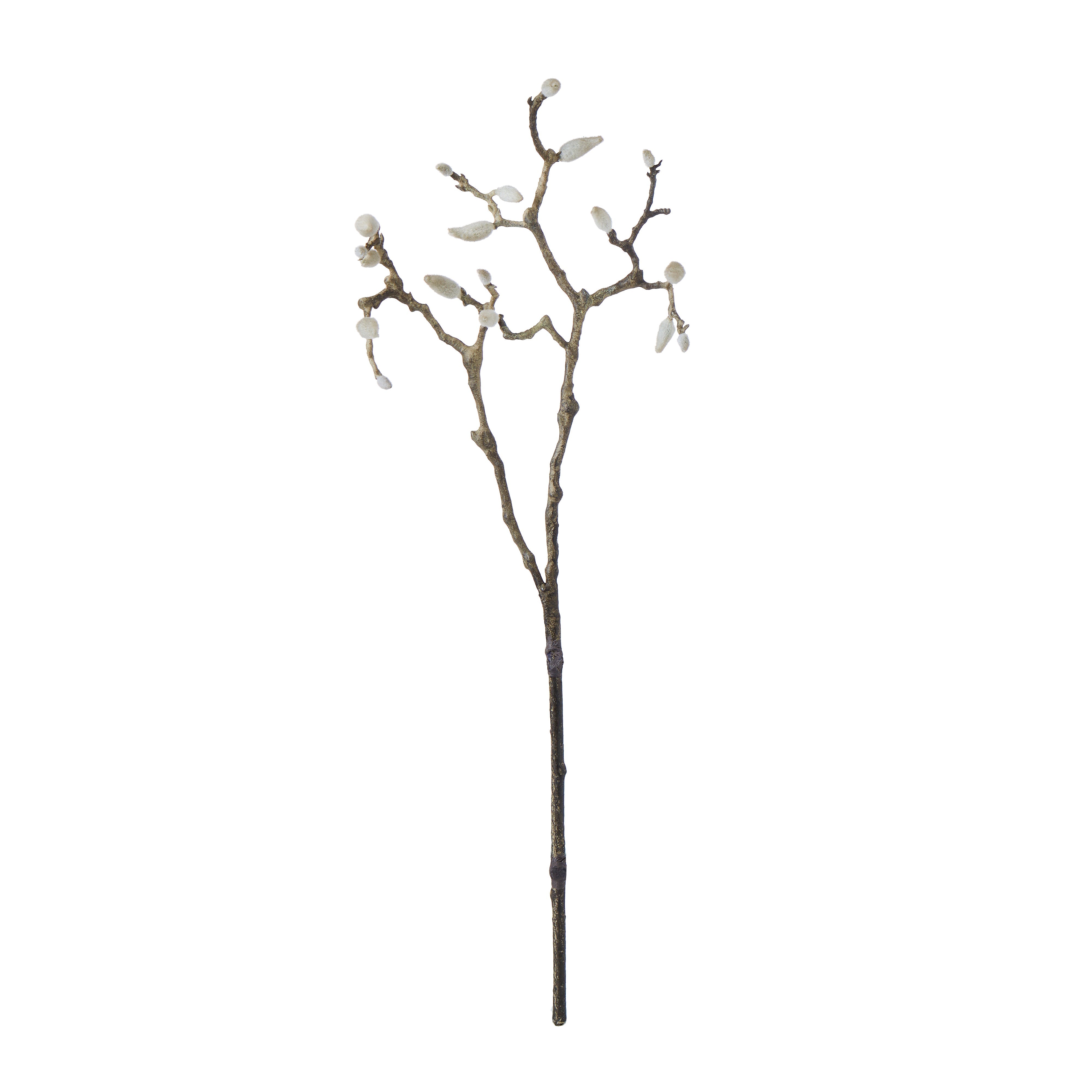 Rogue Tree Magnolia Bud