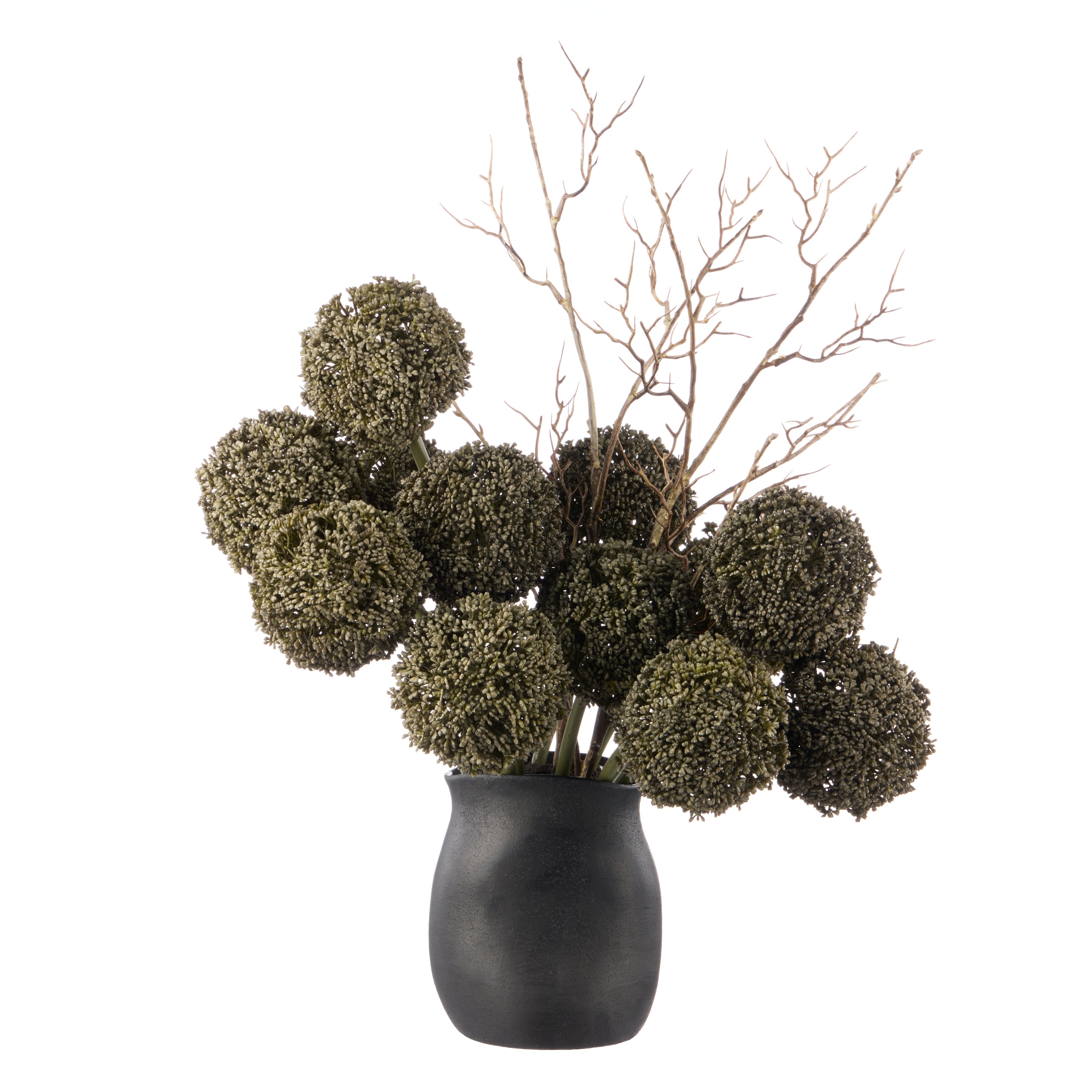 Rogue Allium Spray - Maliah Pot