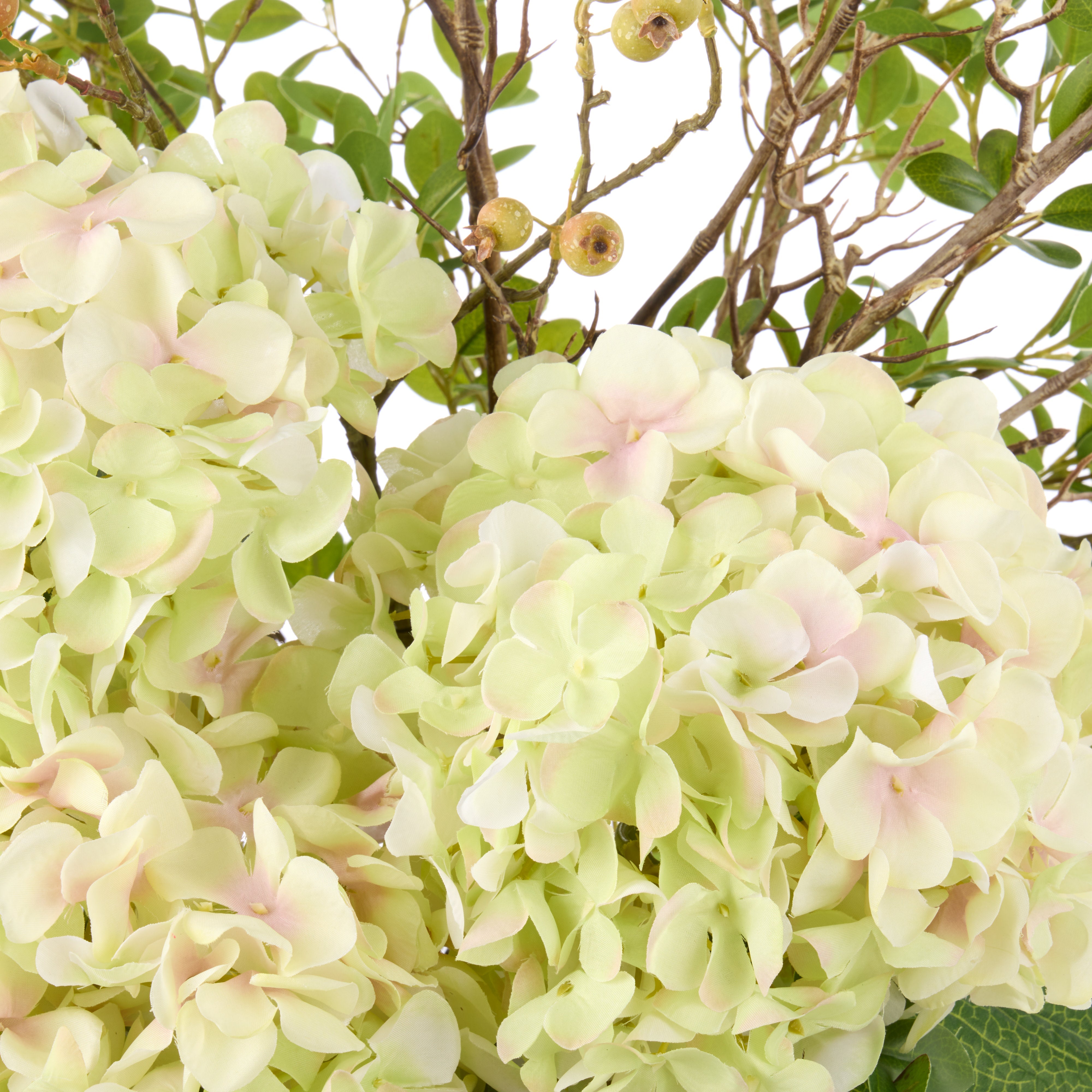 Rogue Hydrangea Berry - Maliah Pot