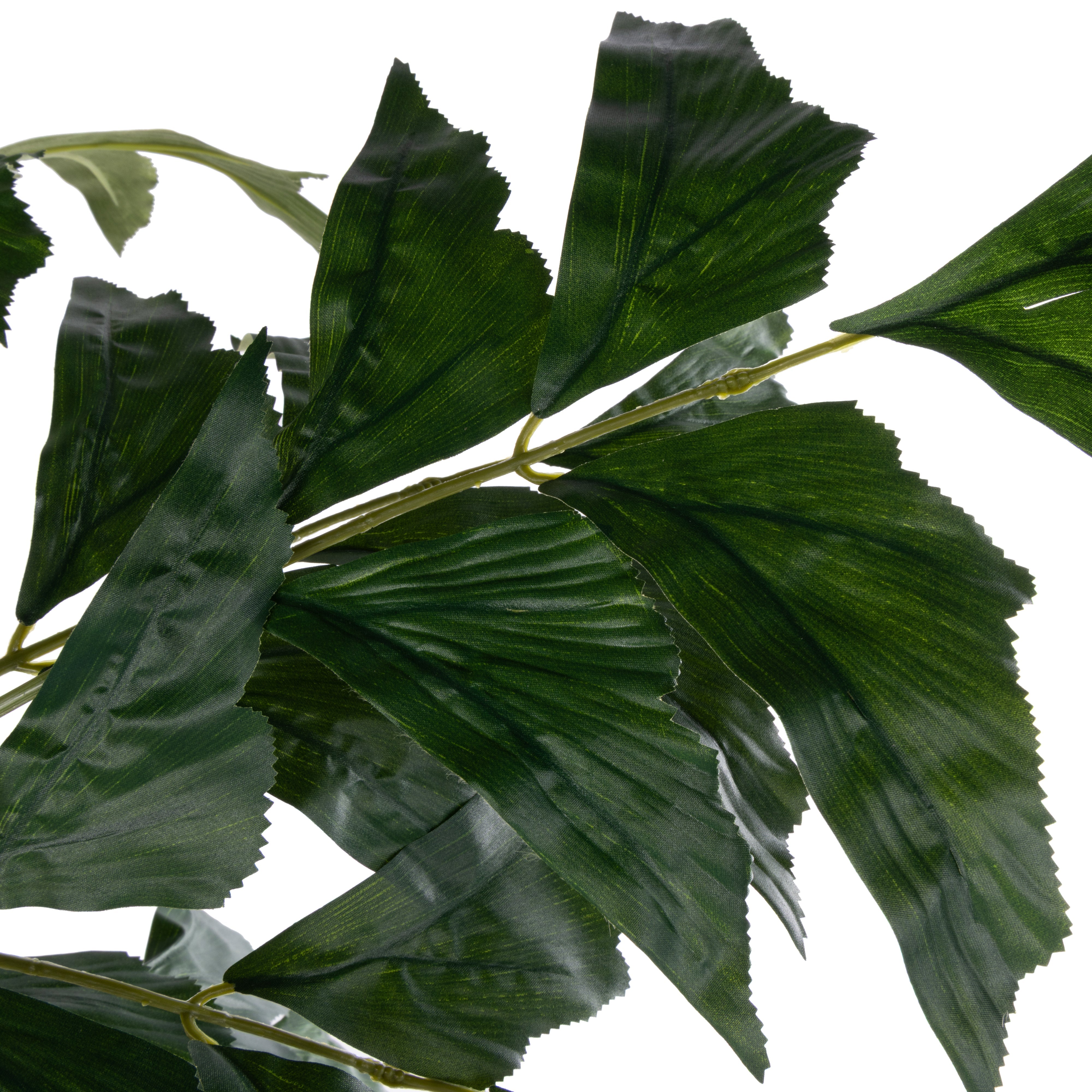 Rogue Caryota Palm - Ryker Planter