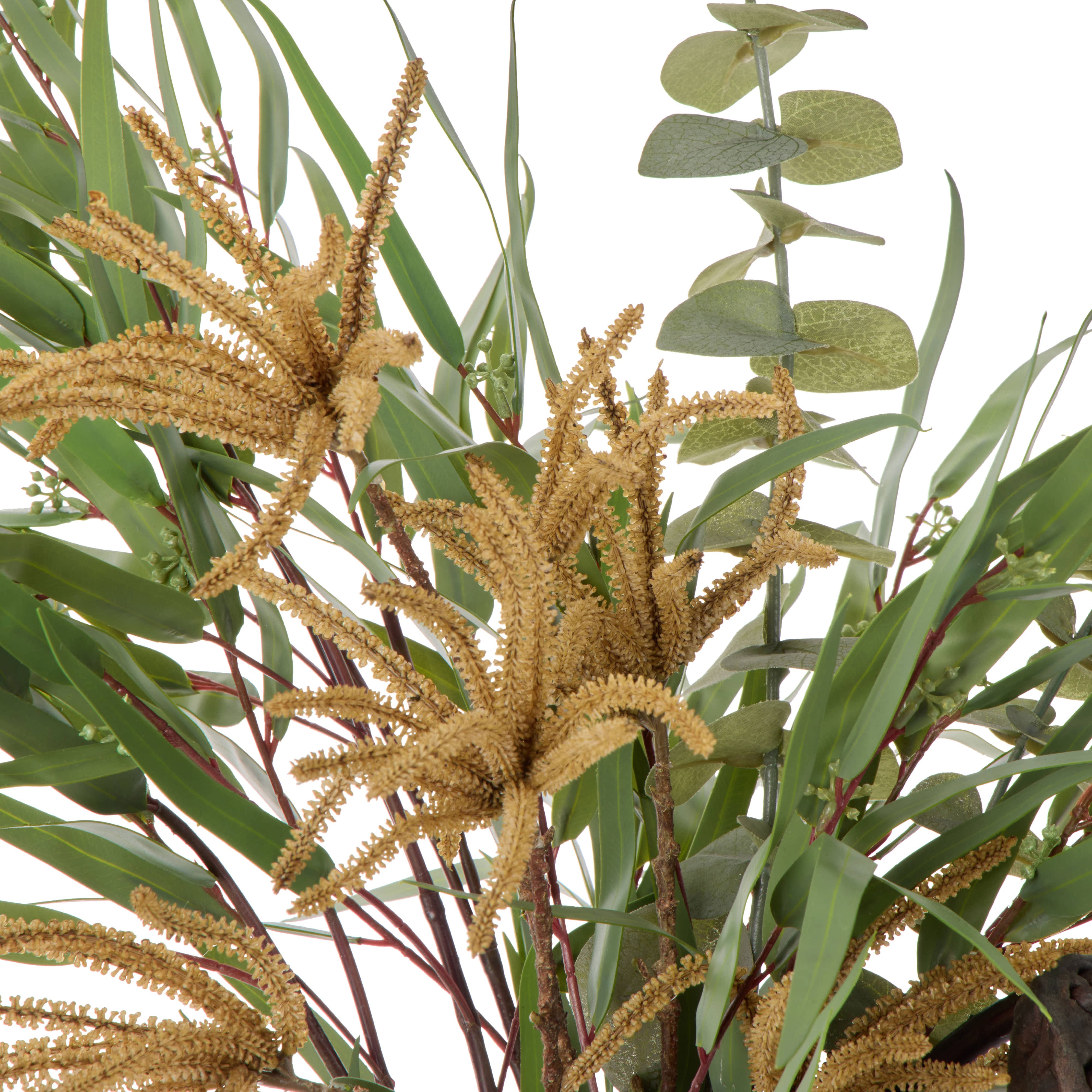 Rogue Lotus Pod Catkins Mix-Ryde Brown 80cm