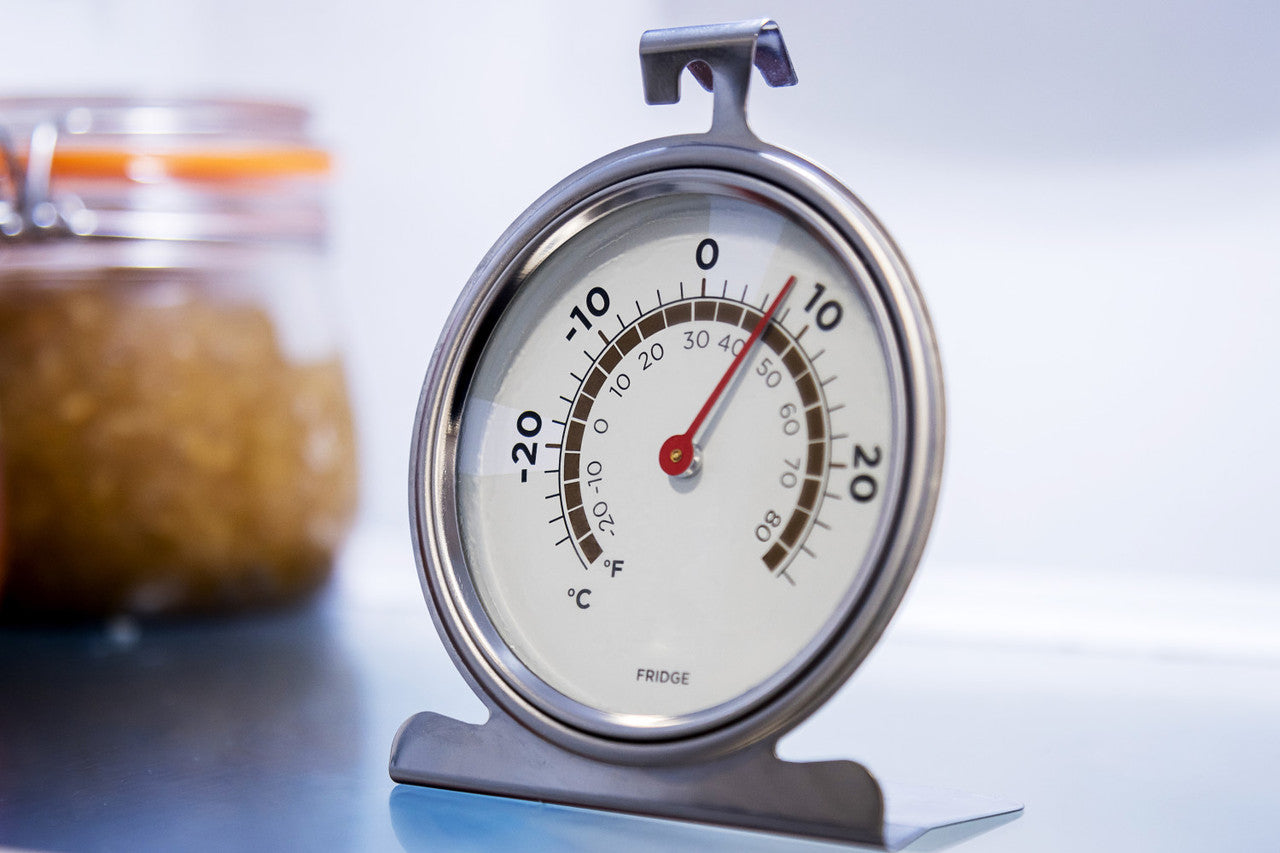 MasterCraft Deluxe Stainless Steel Fridge Thermometer 10cm