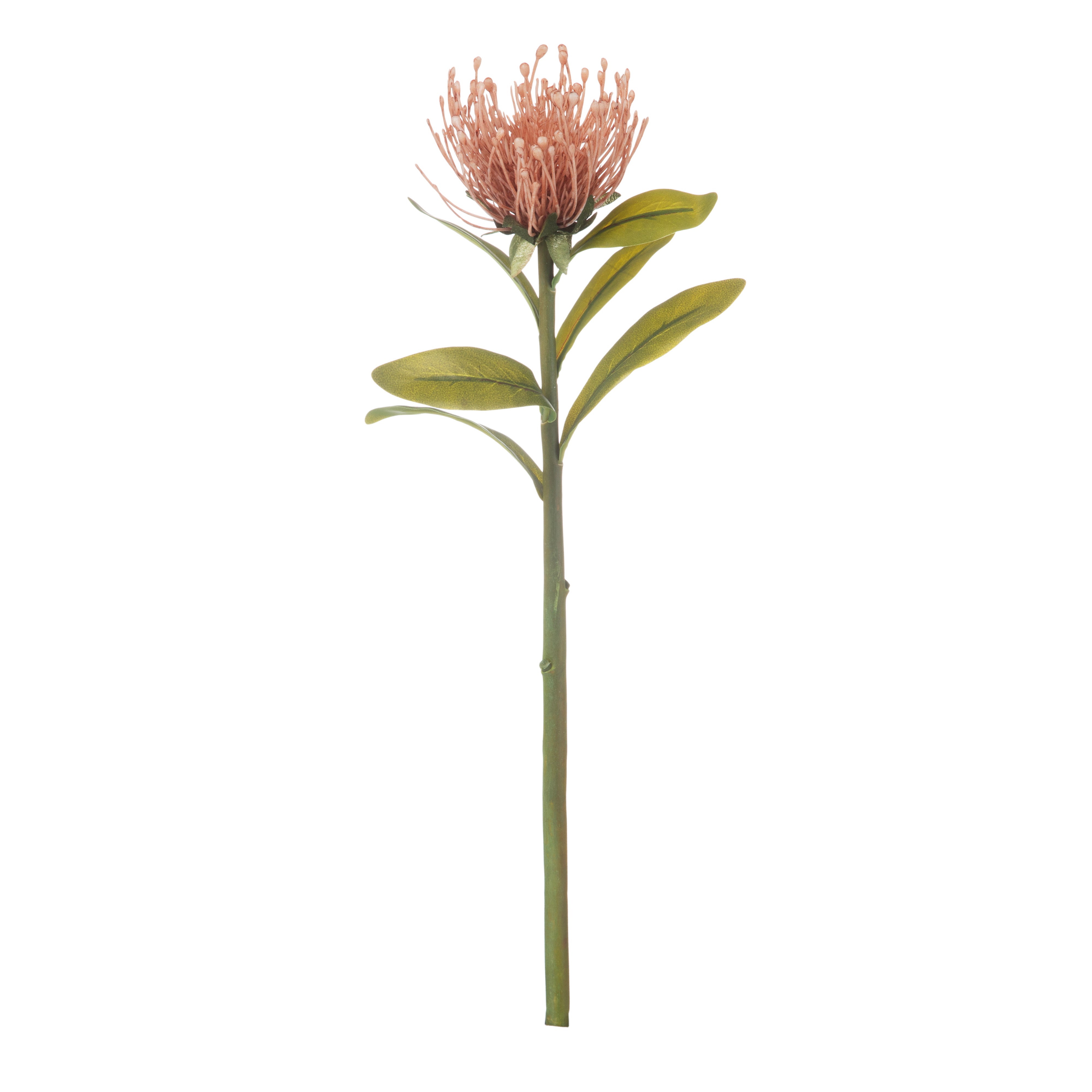 Rogue Pincushion Stem Pink 43cm